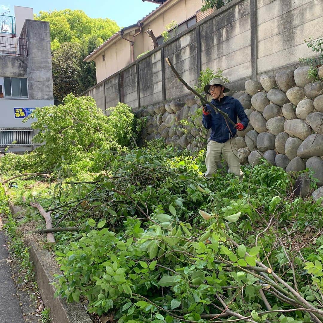 空木マイカさんのインスタグラム写真 - (空木マイカInstagram)「NURF(Nagoya Urban Regenerative Farm)ナーフプロジェクト初日！名古屋の空き地でリジェネラティブ農業（大地再生農業）をして炭素固定をしながら名古屋をエディブルシティにしたい、その第一歩目です。  畑を陰にしていた鬱蒼とした枝をばっさり切って日光が入るようにして、草を刈るのではなく折って、野菜たちをきれいに並べるのではなく色んな野菜を同じ場所にお隣同士で植っているエディブルガーデンを作りました。  ひろくんの解説が何もかもめっちゃくちゃ良くって全て動画におさめましたので！！近々アップします。  仕事の合間にたまたま見つけて車を停めて「何やってるのー？」と寄ってくれた人。子どものお迎えがてら寄ってくれた人。仕事終わりに駆けつけてくれた人。  都会でやる畑の形もまた素敵だなと思いました。  みんなで集まって作業する日だけでなく「たまたま近く寄るから草折っとくね」「今日水筒の水、すっごく余ったから帰りにまいて帰るよ」という感じでぶらりと寄って関われるみんなの畑です。（手入れの仕方はまた動画アップするので見てからご参加くださいね！）  LINEのオープンチャット（活動日の連絡などします）を立ち上げたので、参加希望の方はコメントください。  次会4/28（金）の東別院朝市の時にはお醤油づくりも畑もやります！ご参加お待ちしています。」4月17日 22時47分 - maika_utsugi