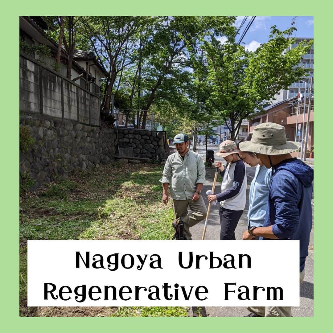 空木マイカさんのインスタグラム写真 - (空木マイカInstagram)「NURF(Nagoya Urban Regenerative Farm)ナーフプロジェクト初日！名古屋の空き地でリジェネラティブ農業（大地再生農業）をして炭素固定をしながら名古屋をエディブルシティにしたい、その第一歩目です。  畑を陰にしていた鬱蒼とした枝をばっさり切って日光が入るようにして、草を刈るのではなく折って、野菜たちをきれいに並べるのではなく色んな野菜を同じ場所にお隣同士で植っているエディブルガーデンを作りました。  ひろくんの解説が何もかもめっちゃくちゃ良くって全て動画におさめましたので！！近々アップします。  仕事の合間にたまたま見つけて車を停めて「何やってるのー？」と寄ってくれた人。子どものお迎えがてら寄ってくれた人。仕事終わりに駆けつけてくれた人。  都会でやる畑の形もまた素敵だなと思いました。  みんなで集まって作業する日だけでなく「たまたま近く寄るから草折っとくね」「今日水筒の水、すっごく余ったから帰りにまいて帰るよ」という感じでぶらりと寄って関われるみんなの畑です。（手入れの仕方はまた動画アップするので見てからご参加くださいね！）  LINEのオープンチャット（活動日の連絡などします）を立ち上げたので、参加希望の方はコメントください。  次会4/28（金）の東別院朝市の時にはお醤油づくりも畑もやります！ご参加お待ちしています。」4月17日 22時47分 - maika_utsugi