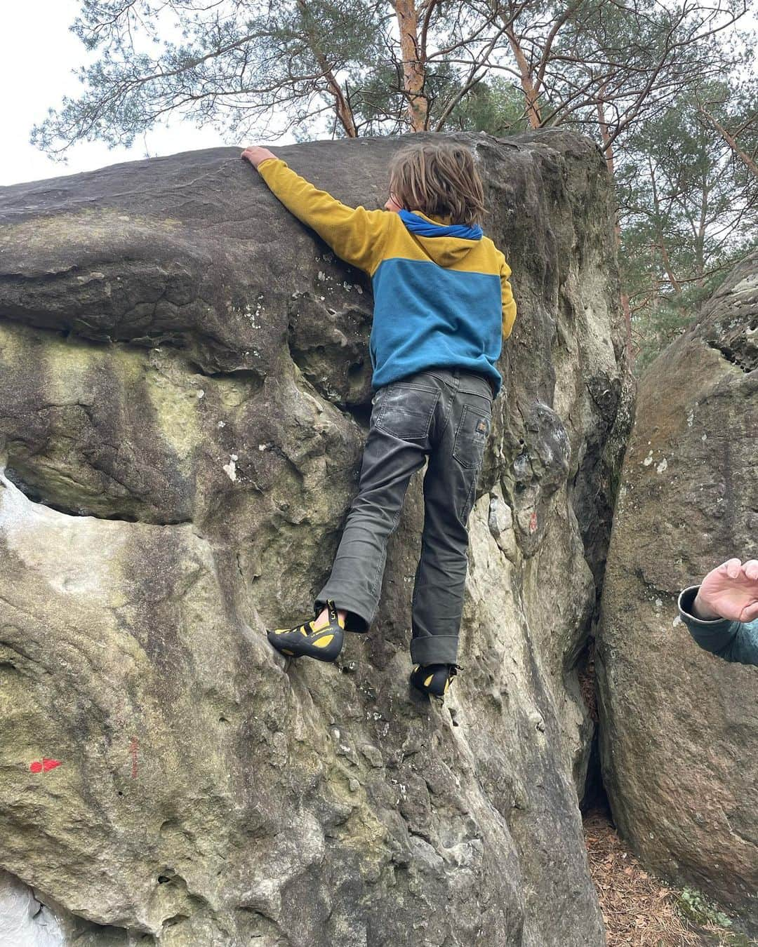 トミー・コールドウェルさんのインスタグラム写真 - (トミー・コールドウェルInstagram)「I’m still buzzing from my first rock climbing trip I’m over a year! Doc still says I should avoid jumping down into my healing achilles so I took the somewhat lame opportunity to top rope some proud highballs, which unsurprisingly made them feel easier than their grade. Despite that I’m relatively satisfied with my climbing.  The real magic of the trip was the simple joy of being out in the forest with family and great friends all day every day. Most years since becoming parents Becca and I have made the spring trip to Fontainebleau. It’s great to jumpstart summer fitness. And better for family adventuring.」4月17日 22時56分 - tommycaldwell