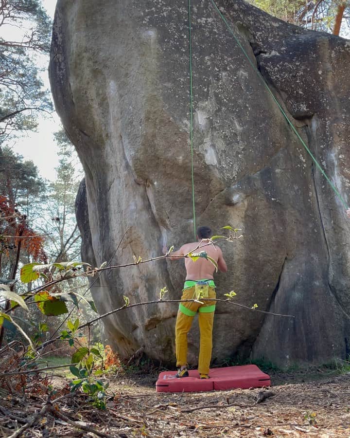 トミー・コールドウェルのインスタグラム：「I’m still buzzing from my first rock climbing trip I’m over a year! Doc still says I should avoid jumping down into my healing achilles so I took the somewhat lame opportunity to top rope some proud highballs, which unsurprisingly made them feel easier than their grade. Despite that I’m relatively satisfied with my climbing.  The real magic of the trip was the simple joy of being out in the forest with family and great friends all day every day. Most years since becoming parents Becca and I have made the spring trip to Fontainebleau. It’s great to jumpstart summer fitness. And better for family adventuring.」