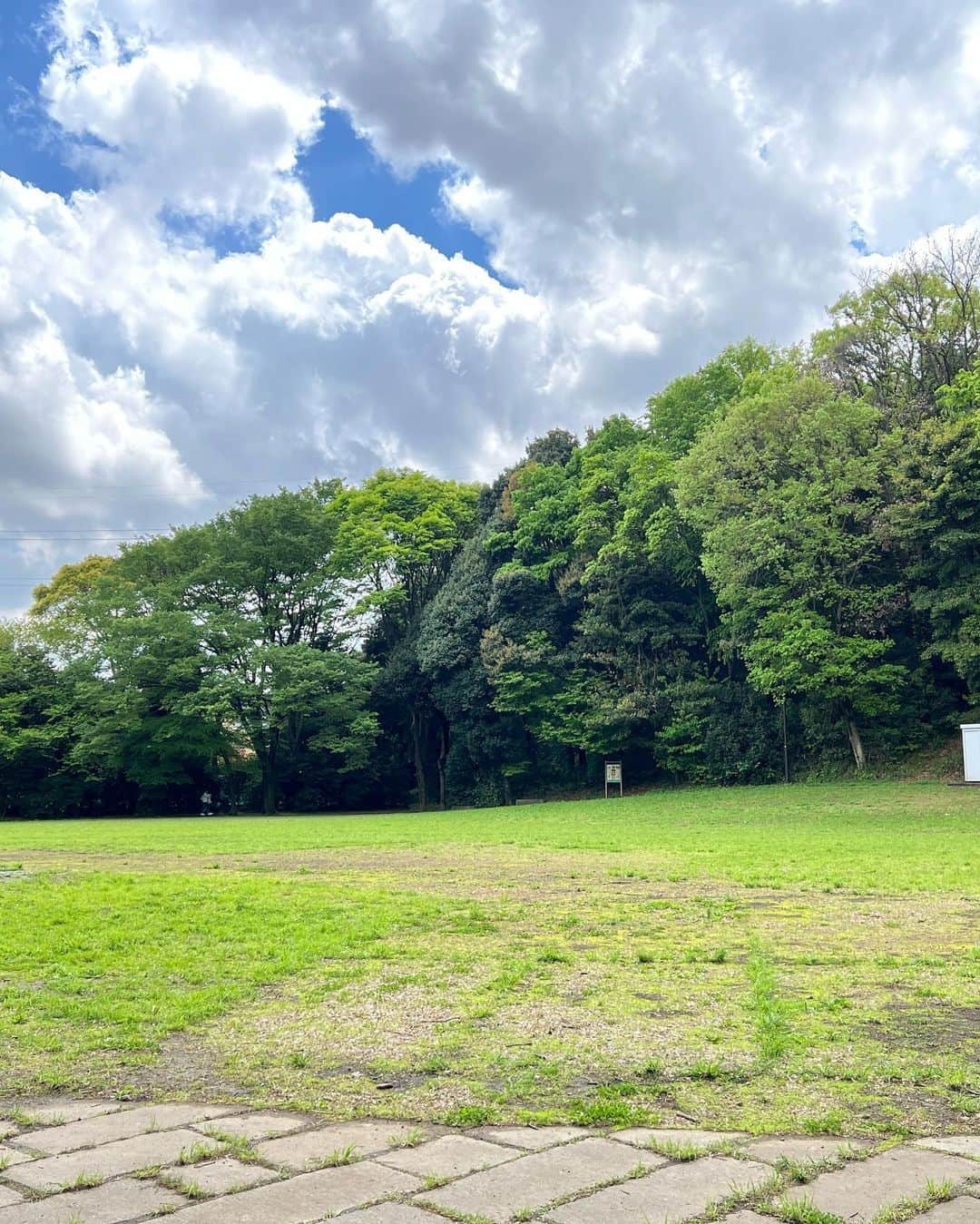 原日出子さんのインスタグラム写真 - (原日出子Instagram)「久しぶりのウォーキング🚶 新緑と 色とりどりの花が咲き 気持ちの良い緑道です。 久しぶりなので 軽めに😅 お天気の良い日は いっぱい歩きたいですね😊  #ウォーキング #シニアのフィットネス #新緑 #緑道 #歩こう #健康が一番 #春の花」4月17日 15時09分 - hara_hideko