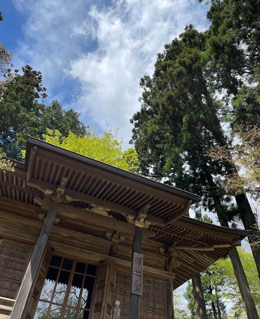 住吉美紀さんのインスタグラム写真 - (住吉美紀Instagram)「So beautiful.  数年ぶりの #中尊寺 。何度訪れても毎回気づかなかったことに気づいたり、違うことに心動いたり、魅力深い場所。  今回は雨上がりだったため、参道に足を踏み入れた途端、まず湿った土と樹木のしっとりとした匂い。空気が甘く美味しく、とてつもなく癒された。  樹々も、苔も、建造物も、空も、 どこを見ても、存在感がすごいのに、 互いに調和が取れていて美しい。  #世界遺産 #金色堂 #弁慶堂 #釈迦堂 #能舞台 #ヤマブキ #Iwate #Chusonji #Konjikido  #ChusonjiGoldenHall #HakusanJinjaNoButai #WorldHeritageSite #Hiraizumi #Ichinoseki」4月17日 15時08分 - miki_sumiyoshi