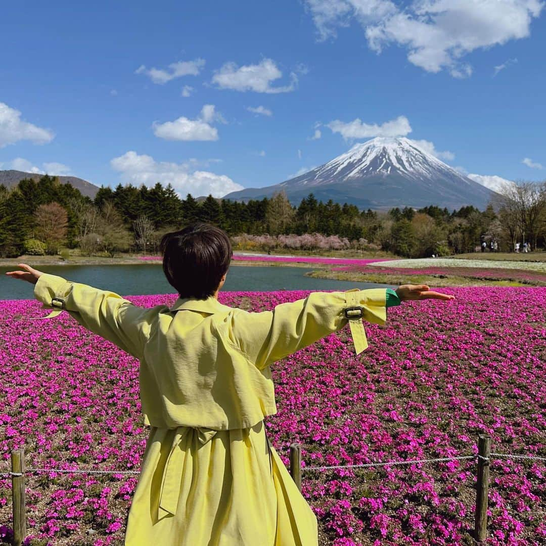 村井美樹さんのインスタグラム写真 - (村井美樹Instagram)「絶景…！！🌸🗻🌸  #富士芝桜まつり」4月17日 15時22分 - miki_murai_