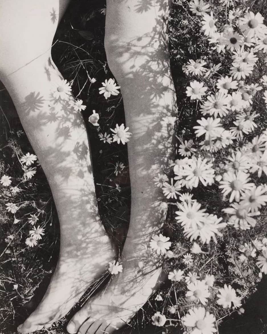 Meganのインスタグラム：「Amongst the Daisies, circa 1939 🌼 〰️ 🌼 Edwin Smith  . . . . #daisy #spring #edwinsmith」