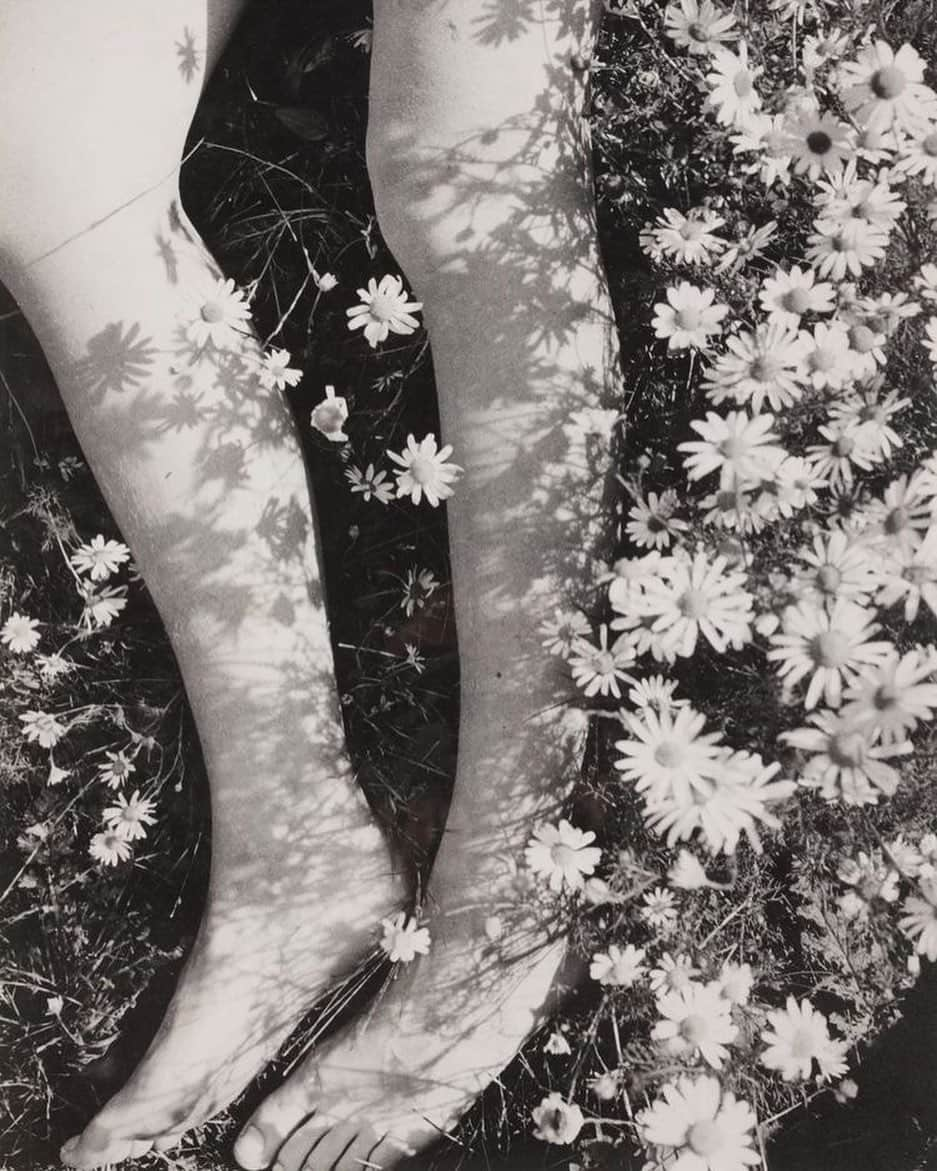 Meganさんのインスタグラム写真 - (MeganInstagram)「Amongst the Daisies, circa 1939 🌼 〰️ 🌼 Edwin Smith  . . . . #daisy #spring #edwinsmith」4月17日 15時24分 - zanzan_domus