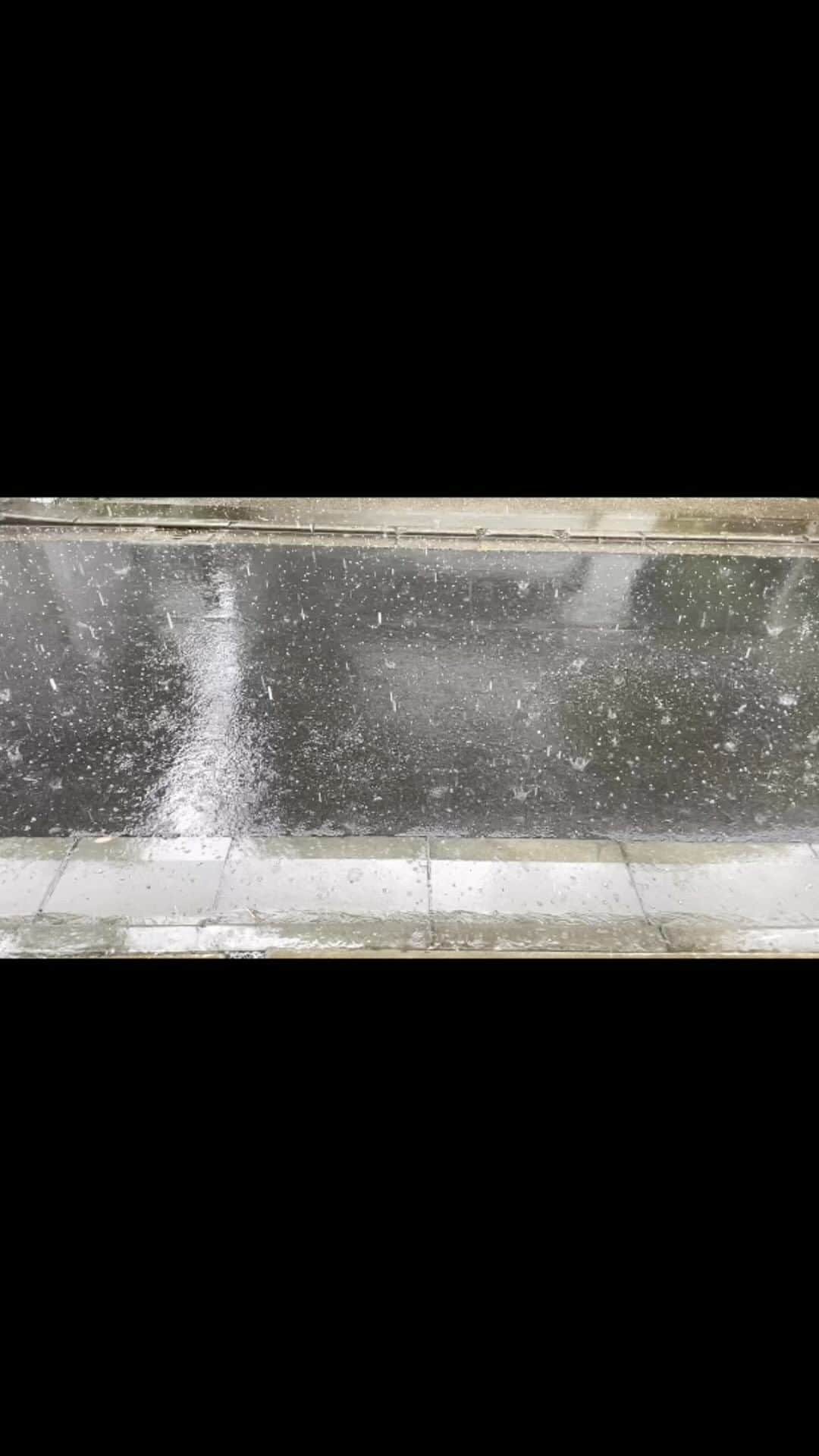 塩田真弓のインスタグラム：「昨日のひょう 捕まえたかった Unexpected hail in Tokyo yesterday! Tried to capture but failed.  #ひょう #hail」