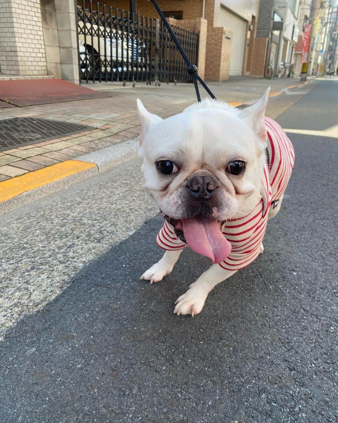 福山理子のインスタグラム