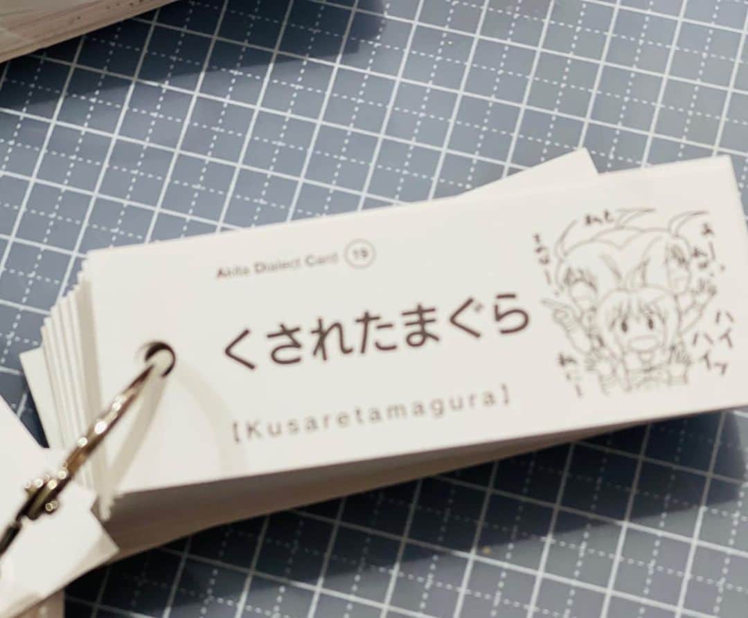 加藤夏希さんのインスタグラム写真 - (加藤夏希Instagram)「秋田弁ちゃんと話せるようになりたーい！と。思い出したーい！と 単語帳を買いました。 激辛上級者向け。中々酷い言葉に笑ってしまうwww 皆さんは意味はわかりますか？ #秋田弁」4月17日 16時02分 - natsukikato_official