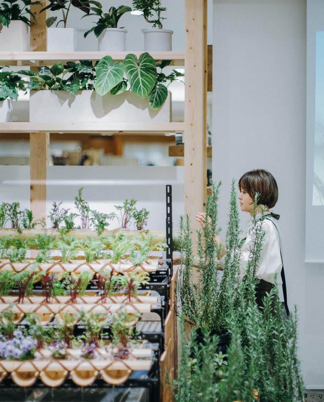のインスタグラム：「先日、涼子ちゃんが進めている @agrikofarm の展示会を撮影してきた。 いつもサバサバ明るくて面白い人。 農業も俳優も、一つ一つが全力で丁寧で 少し心配になる程。 でもそういう人だからこそ、 助けようとするスペシャリストたちが集うんだなと、その日の夜に餃子をみんなと食べながら思っていた。  #小林涼子 #agrikofarm」