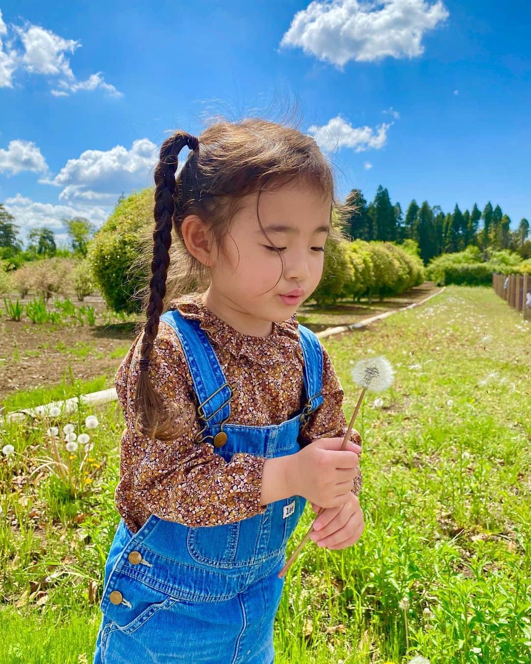 菊井彰子さんのインスタグラム写真 - (菊井彰子Instagram)「素敵な写真いっぱい撮れた🫶  晴天の青空、緑、タンポポが揃ってなんだかジブリの世界😍  3歳児、綿毛大好き🌼  それにしても気持ちよくてのんびりできて良いところ😊  #しあわせ  #3yearsold  #3歳7ヶ月  #3y7m  #3歳 #3歳女の子 #3歳児ママ  #おやばか部  #成長記録　#育児記録　 #ジブリの世界」4月17日 16時30分 - yanakiku_kiku
