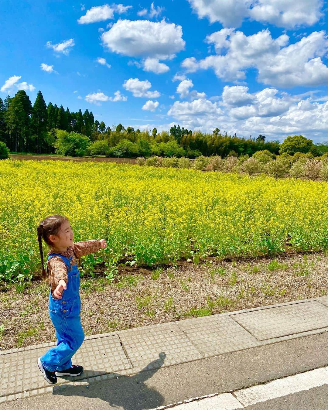 菊井彰子さんのインスタグラム写真 - (菊井彰子Instagram)「素敵な写真いっぱい撮れた🫶  晴天の青空、緑、タンポポが揃ってなんだかジブリの世界😍  3歳児、綿毛大好き🌼  それにしても気持ちよくてのんびりできて良いところ😊  #しあわせ  #3yearsold  #3歳7ヶ月  #3y7m  #3歳 #3歳女の子 #3歳児ママ  #おやばか部  #成長記録　#育児記録　 #ジブリの世界」4月17日 16時30分 - yanakiku_kiku