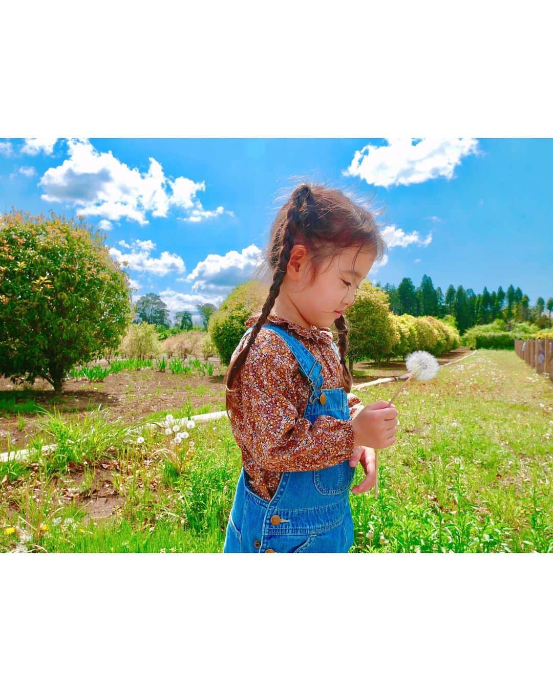 菊井彰子さんのインスタグラム写真 - (菊井彰子Instagram)「素敵な写真いっぱい撮れた🫶  晴天の青空、緑、タンポポが揃ってなんだかジブリの世界😍  3歳児、綿毛大好き🌼  それにしても気持ちよくてのんびりできて良いところ😊  #しあわせ  #3yearsold  #3歳7ヶ月  #3y7m  #3歳 #3歳女の子 #3歳児ママ  #おやばか部  #成長記録　#育児記録　 #ジブリの世界」4月17日 16時30分 - yanakiku_kiku