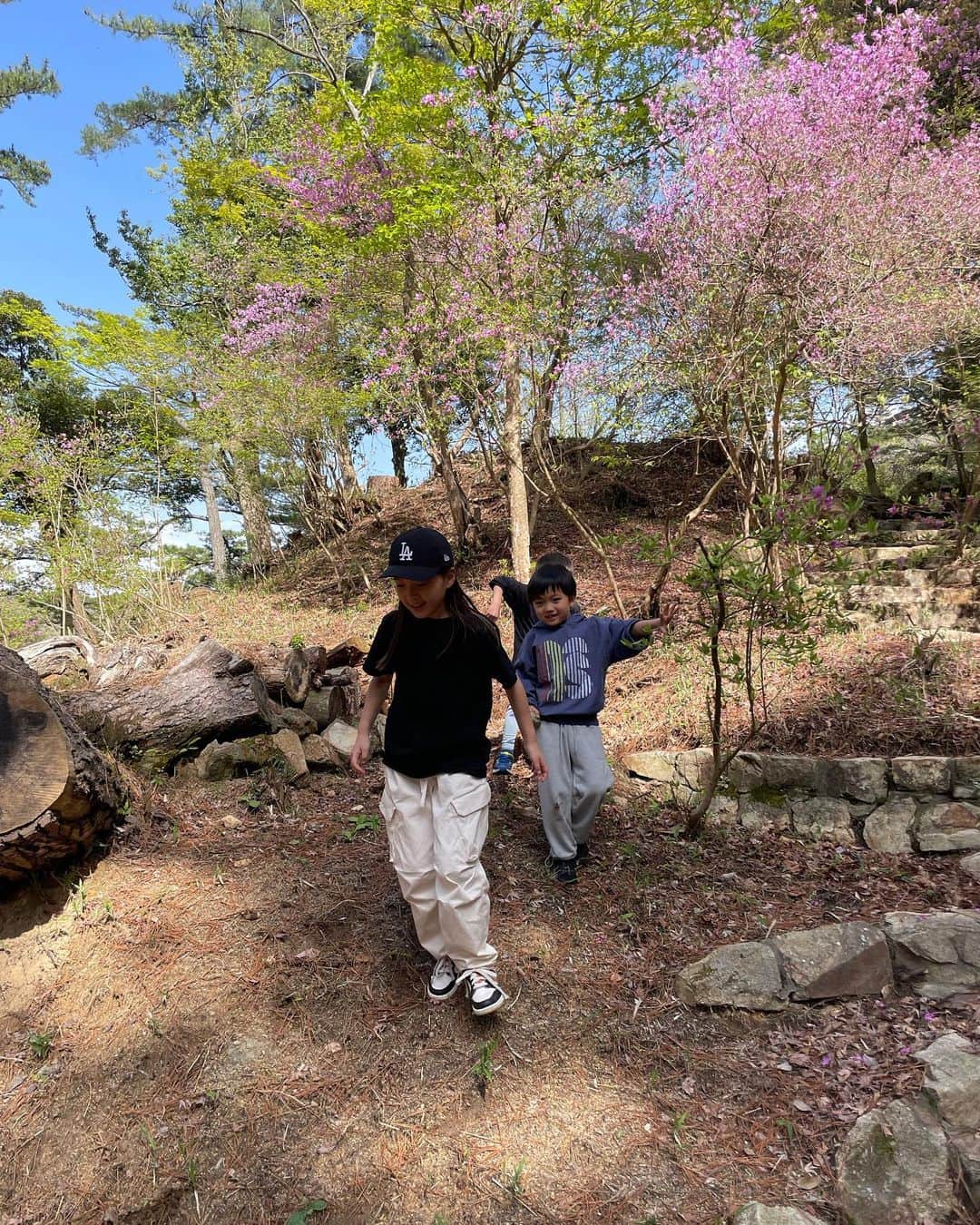 正中雅子さんのインスタグラム写真 - (正中雅子Instagram)「🖼🦩  日曜に @urako0618 と行った公園が 新緑にピンクのお花が所々にあって その色合いが可愛くてずーーっと見てられた☺️🌸  春は歩いててもピンクのお花が多い🫶」4月17日 16時30分 - masacoshonaka