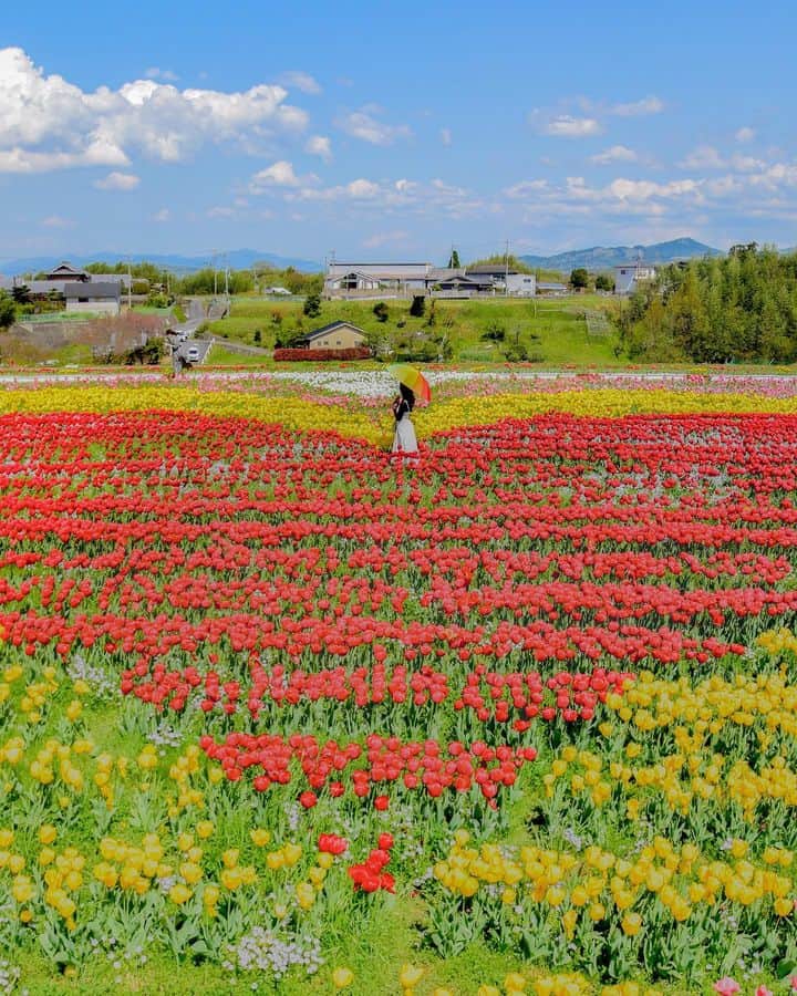 和みわかやまのインスタグラム