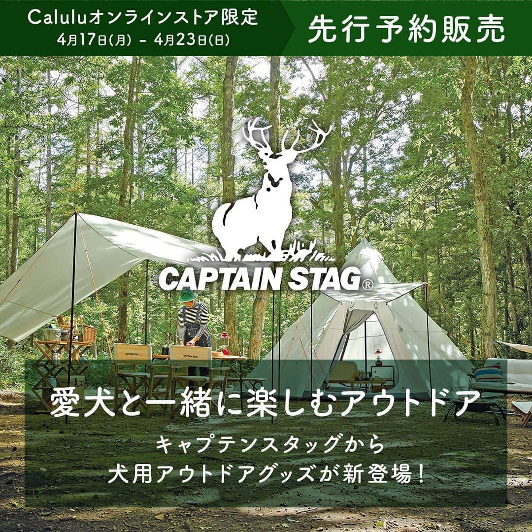 Caluluさんのインスタグラム写真 - (CaluluInstagram)「アウトドア好きに愛される『CAPTAIN STAG』より、犬用のアウトドアグッズが新登場🏕  ウェアやフードボウル、テントコット、水遊びにも使えるフローティングベストやドッグトイまで幅広いラインナップ☀️  【CAPTAIN STAG(キャプテンスタッグ)とは...】 アウトドア・レジャー関連用品を扱う日本のブランド。 使いやすさ、購入しやすさを第一に考え、より快適で、 より楽しいアウトドアライフをサポートすべく、総合的な商品展開に取り組んでいます。  なんと本日17日(月)～23日(日）まで Caluluオンラインストア限定の先行予約販売です✨  先行予約販売には数に限りがございます📣 GWのお出かけにいかがですか？🐶  -----------------------------  先行予約販売ページは ▼プロフィールのlitlinkよりアクセス🐶 @calulu_dogwear  -----------------------------  #calulu #caluludogwear #カルル #カルルドッグウェア #犬のお洋服 #おしゃれ犬服 #わんこふく #わんこ部　#いぬすたぐらむ #犬のいる生活 #おしゃれわんこ #わんわん物語 #いぬのいる暮らし #お出かけわんこ #お出かけわんこ部 #いぬとの暮らし #カルルわんこの会 #いぬすたぐらむ #わんこすたぐらむ #キャプテンスタッグ #captainstag #アウトドア #犬用品 #アウトドアグッズ #キャンプ #キャンプ犬 #キャンプ犬連れ #キャンプ犬コーデ #新商品 #先行予約 #先行予約販売」4月17日 17時16分 - calulu_dogwear