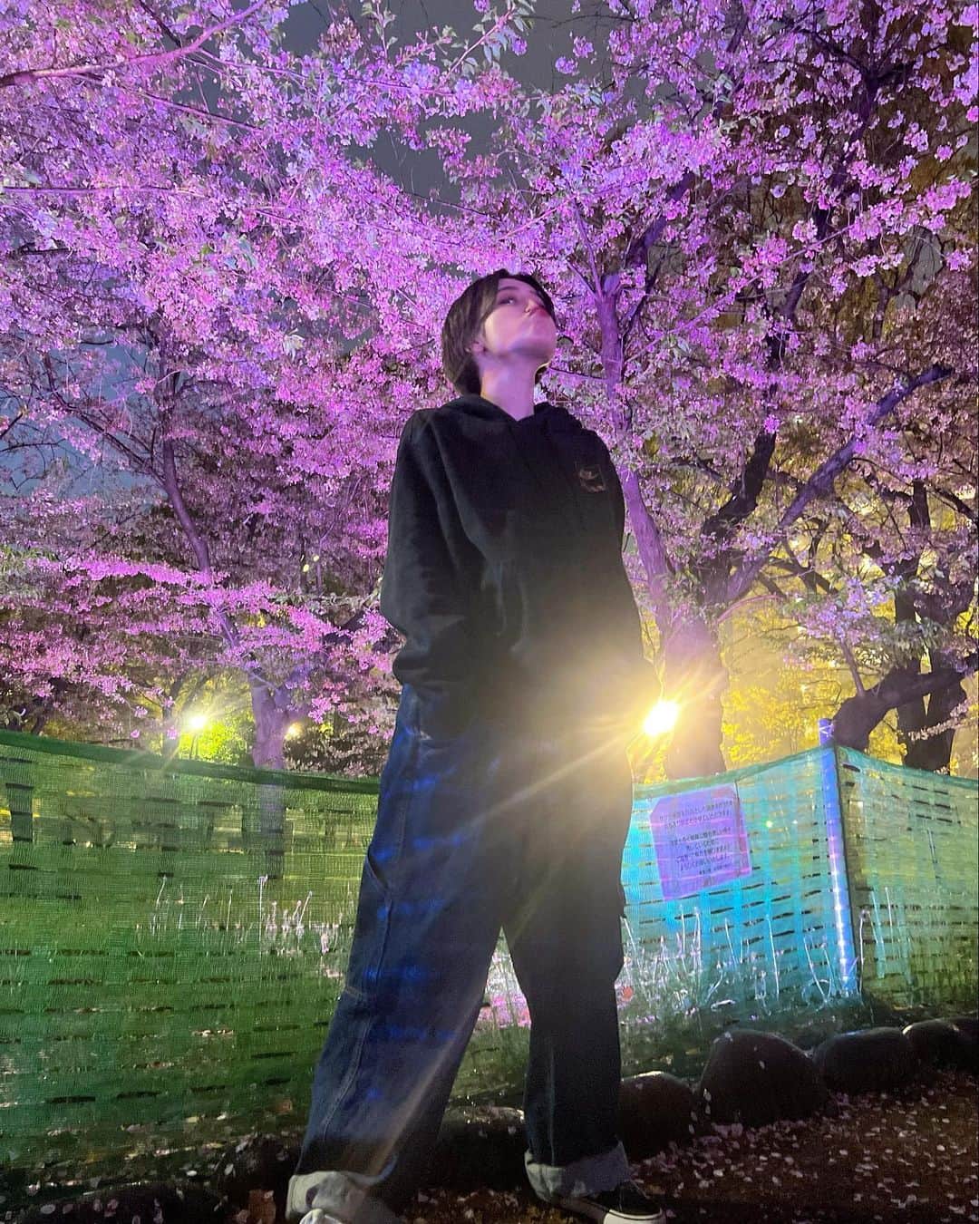 富久美玲のインスタグラム：「_ . 今年最後の花見は夜桜でした🐶🌸 .」