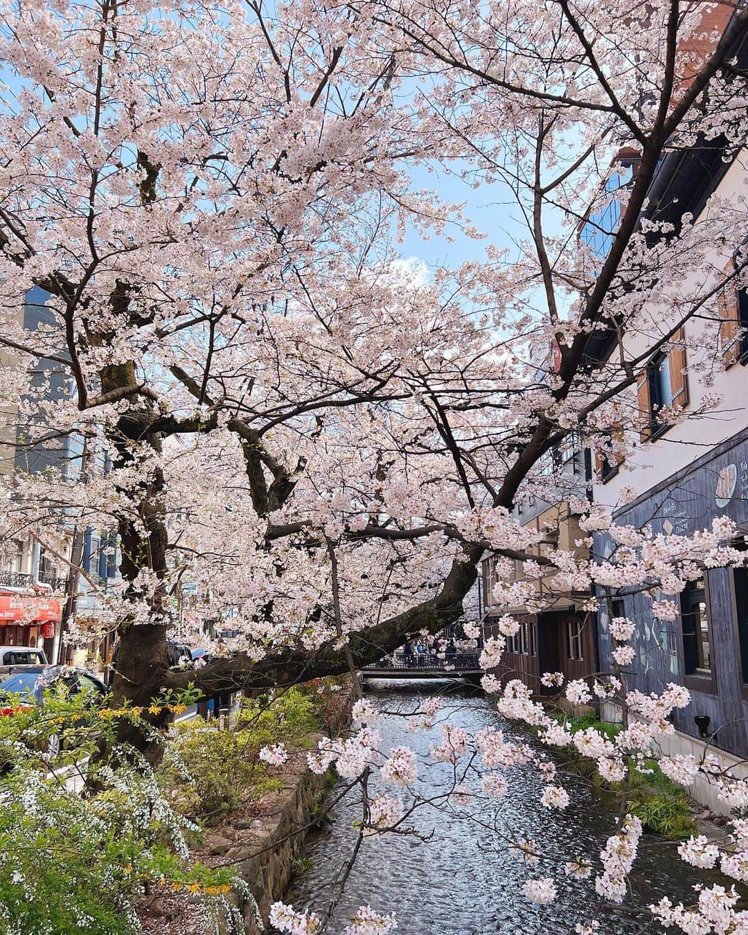 Alexa Ilacadさんのインスタグラム写真 - (Alexa IlacadInstagram)「Making new memories in my happy place. ☺️🇯🇵 I can never get enough of Japan.. ♥️ #travel #japan #visitjapanjp」4月17日 17時23分 - alexailacad