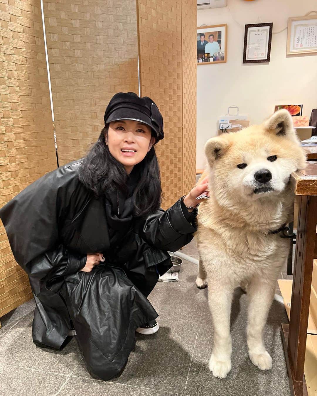 藤あや子のインスタグラム：「角館② 武家屋敷にある「さとくガーデン」の看板秋田犬"武家丸くん"に会えました🐕 とってもイケメンで人懐っこくて♡ こりゃ人気者になるのも納得です😉 私も熱烈な歓迎を受けました😆💋 店内には武家丸くんグッズがたくさん♪ 武家屋敷にお越しの際はぜひ武家丸くんに会いに来てくださいね〜✨ #秋田 #角館 #武家屋敷 #さとくガーデン  #武家丸くん　 #秋田犬」