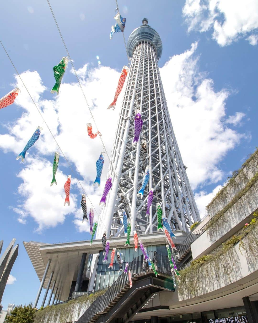 TOBU RAILWAY（東武鉄道）さんのインスタグラム写真 - (TOBU RAILWAY（東武鉄道）Instagram)「📍Tokyo Skytree Town® Koinobori Festival 2023 A stream of carps swimming in the air . . Japan has a custom of hanging koinobori, or carp streamers, in May to wish for the health growth of its young boys.  Tokyo Skytree Town®, is decorated with around 1,500 carp streamers to welcome visitors.  . Various places throughout the Town are decorated with these carp streamers, giving a powerful impact. Drop by and get a look at the carp streamers swimming through the blue sky. (Until May 7) . . Please comment "💛" if you impressed from this post. Also saving posts is very convenient when you look again :) . . #visituslater #stayinspired #nexttripdestination . . #tokyoskytree  #skytree #koinobori #carpstreamer  #placetovisit #recommend #japantrip #travelgram #tobujapantrip #unknownjapan #jp_gallery #visitjapan #japan_of_insta #art_of_japan #instatravel #japan #instagood #travel_japan #exoloretheworld #ig_japan #explorejapan #travelinjapan #beautifuldestinations #toburailway #japan_vacations」4月17日 18時00分 - tobu_japan_trip