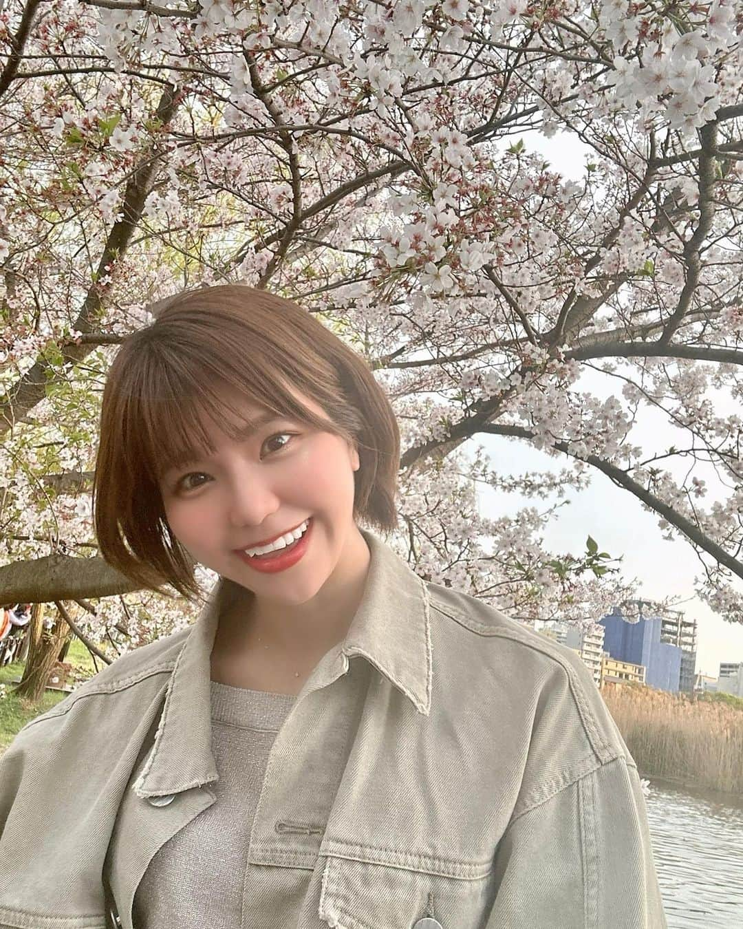 天野なつさんのインスタグラム写真 - (天野なつInstagram)「LinQ12周年おめでとう！！！🌸  みんなおめでとう🌸  そして私もデビュー12周年です。 ファンのみなさん！ ここまで続けさせてくれて ありがとうございます🥺🙏  #上野公園 #桜 #LinQ12周年 #天野なつ」4月17日 18時10分 - natsu_amano