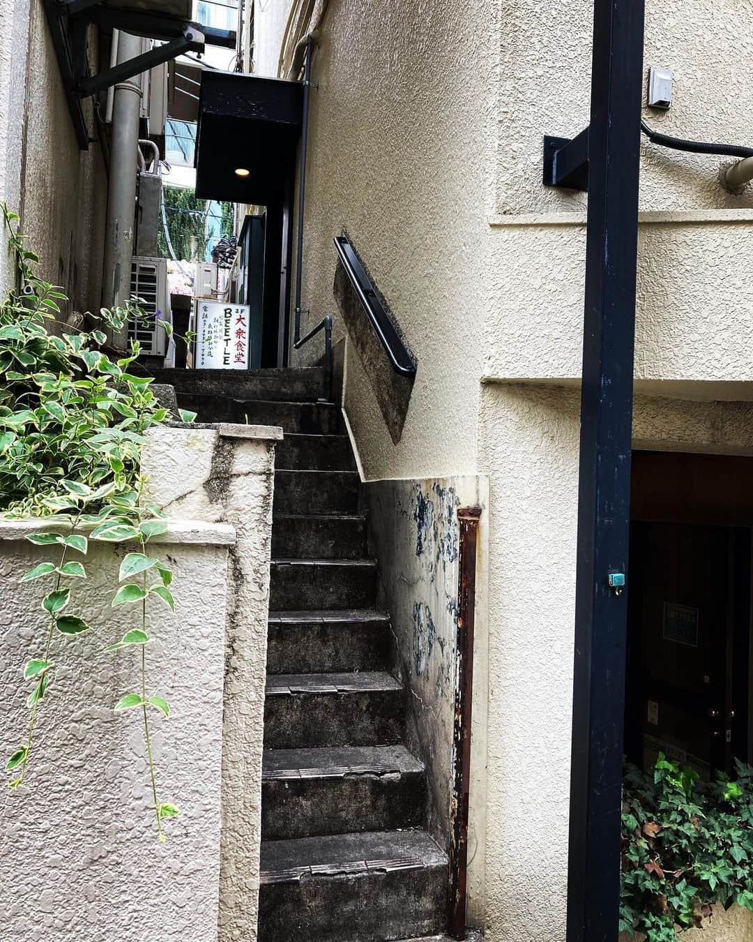 櫻井リヤさんのインスタグラム写真 - (櫻井リヤInstagram)「なんか良い　#渋谷区#大衆食堂」4月17日 18時11分 - liya_sakurai