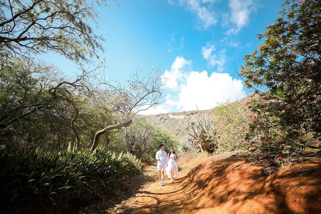 ARLUIS WEDDINGのインスタグラム：「@arluiswedding  挙式翌日にハワイを巡る旅「ディスカバリーフォト」 ハワイの自然溢れる絶景を感じながら、アフターウエディングをより特別な旅にしてくれるフォトツアーです。  ーーーーーーーーーーーーーーーーーー Area：Hawaii Chapel : #ザダイヤモンドヘッドチャペル ーーーーーーーーーーーーーーーーーー   #アールイズ花嫁 @arluiswedding をつけて投稿してください！ 公式IGでご紹介させていただきます。  #arluiswedding #arluistravel #arluisdress #アールイズウエディング #アールイズトラベル #アールイズドレス  #プレ花嫁 #卒花嫁 #2023wedding #resortwedding #weddingphoto #ウェディングフォト #ハワイ挙式 #リゾートウェディング #ハワイウェディング #挙式レポ #ビーチフォト #リゾート挙式 #海外挙式 #リゾ婚 #hawaii #waikiki #ハワイ #ハワイ旅行 #ハネムーン #結婚式 #ウェディングドレス #シェラトンワイキキ」