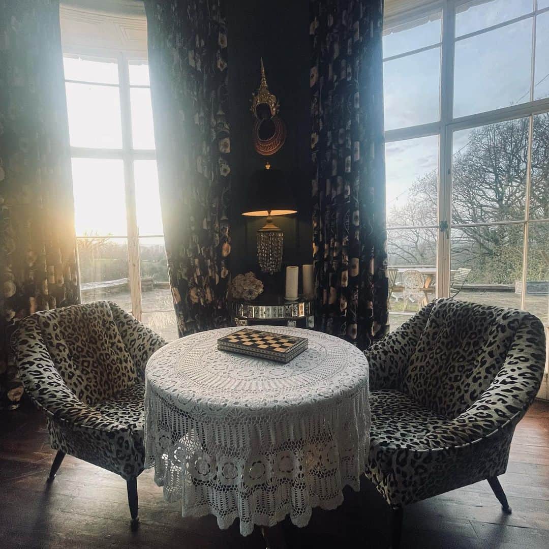 アリスバイテンパリーのインスタグラム：「Limited edition furniture pieces coming into our Somerset HQ this Thursday. Vintage velvet leopard 🐆 jacquard bucket chairs 👌   “ A world less ordinary “  @romo_fabrics @temperleylondon  Limited editions on @wonderland_alicet」