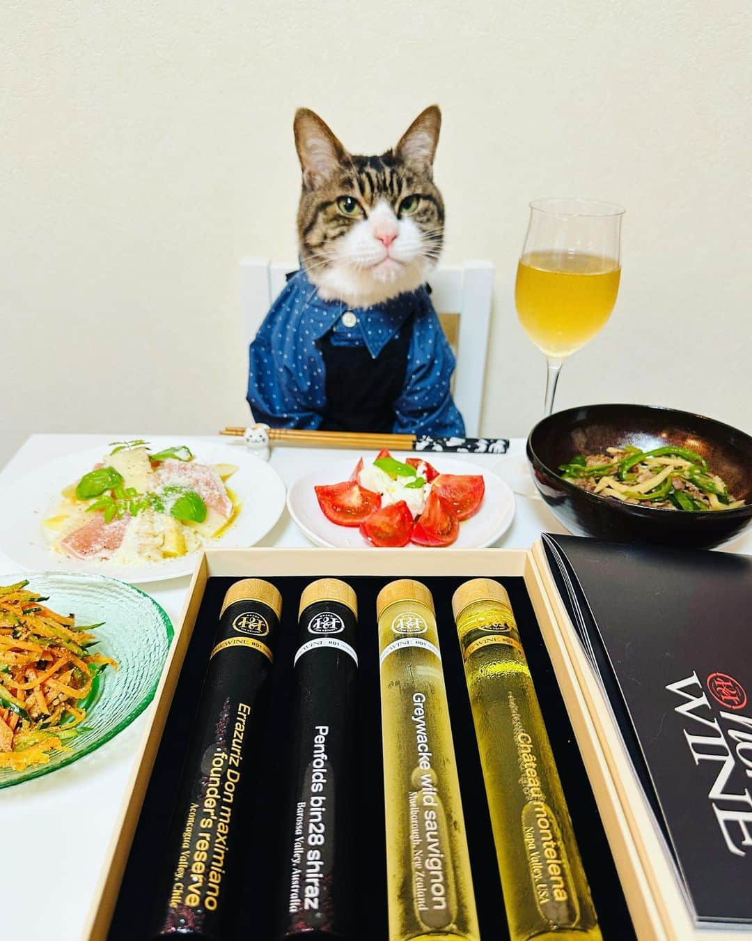 マロさんのインスタグラム写真 - (マロInstagram)「🍷おウチでワインスクール🍷 @homewine.jp  ✴︎ 気軽に自宅でワインの勉強が出来る❣️ Home Wineを届けていただきました ニャン🐾 初心者にも分かりやすいイラスト入りの冊子が付いていて勉強しやすい ニャン🐾 ✴︎ クーポンコード:『2023』 ※初回1000円オフになるニャン🐾 ✴︎ #wine#homewine#ホームワイン#PR」4月17日 18時42分 - rinne172