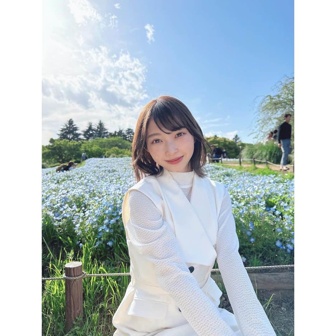 辻野かなみのインスタグラム：「❤︎  ⁡ ⁡ ネモフィラ見れて嬉しい💙 ⁡ 綺麗だったな✨ ⁡ ⁡ #ネモフィラ #辻野かなみ　#かなみん　#超ときめき宣伝部#超とき宣　#アイドル　#𝖨𝖣𝖮𝖫 #𝗂𝗇𝗌𝗍𝖺𝗀𝗈𝗈𝖽 #𝗂𝗇𝗌𝗍𝖺𝗅𝗂𝗄𝖾 #𝖿𝗈𝗅𝗅𝗈𝗐𝗆𝖾 #𝗅𝗈𝗏𝖾 #데일리룩　#데일리룩코디　#패션	#오오티디 #데일리　#좋아요　#팔로우」