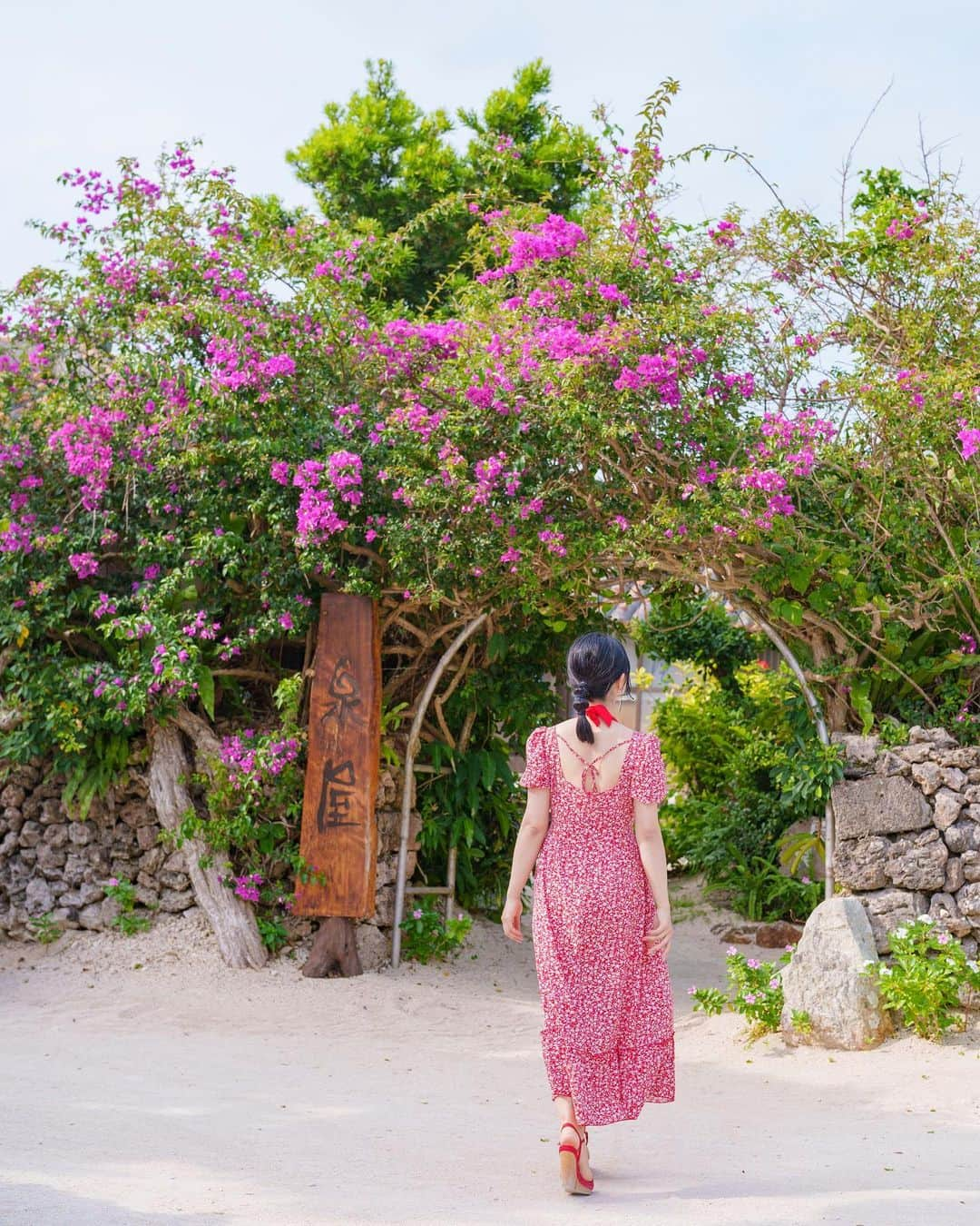 和希優美さんのインスタグラム写真 - (和希優美Instagram)「竹富島の鮮やかな花は 見るだけでも 心を躍らせてくれます♡  写真好きなら 今年は行って欲しい…  一度の旅で 石垣島と竹富島は 4000枚撮れますw  ┈┈┈┈┈┈┈┈┈┈┈┈┈┈┈┈┈ ⁡ 📍 竹富島 🚃 石垣島からフェリーで15分 ⁡ ┈┈┈┈┈┈┈┈┈┈┈┈┈┈┈┈┈ ⁡ #旅 #沖縄 #沖縄観光 #okinawa #石垣島  #IshigakiIsland #japan #이시가키섬 #โอกินาว่า #ダイビング #石垣島観光 #旅するように暮らす #okinawatrip  #石垣島観光 #沖縄観光スポット #沖縄離島 #石垣島旅行 #旅行好き #竹富島 #旅したくなるフォト #竹富島カフェ #竹富島観光 #竹富島で会いましょう  ⁡ ┈┈┈┈┈┈┈┈┈┈┈┈┈┈┈┈┈」4月17日 19時11分 - kazukiyumi