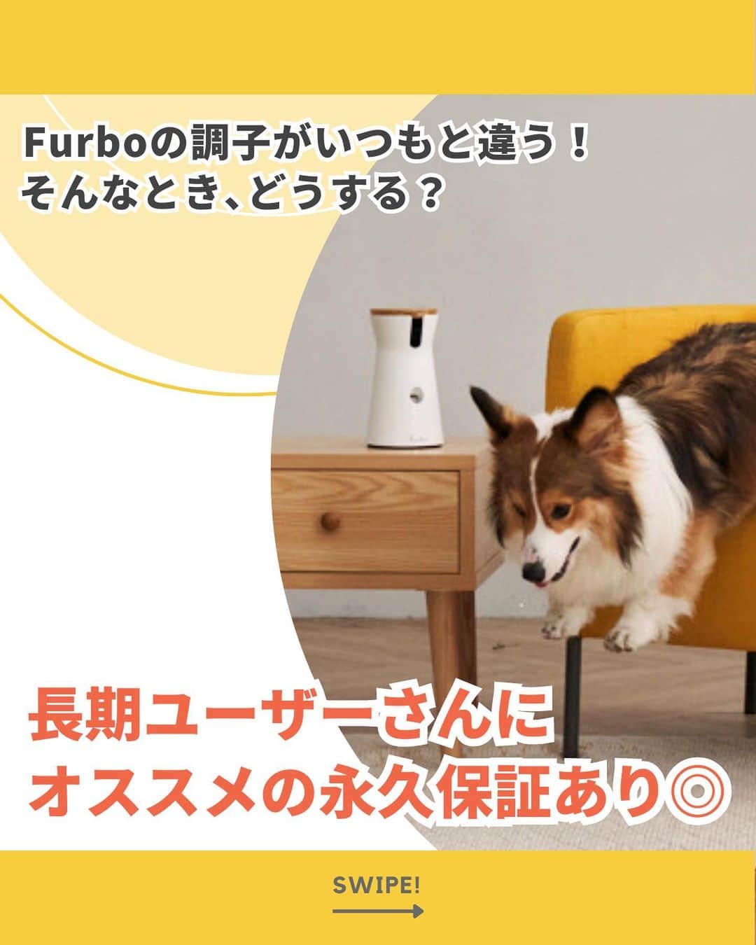 Furbo ドッグカメラさんのインスタグラム写真 - (Furbo ドッグカメラInstagram)「@furbo_japan 👈 他の投稿はこちらから⁠ ⁠ 長期ユーザーさんにオススメの永久保証あり◎⁠ Furboが不調のときの対処法と保証について💡⁠ ⁠ Furboが提供している保証サービスについて⁠ あなたはどれくらい知っていましたか？👀⁠ ⁠ 「このプラン、知らなかった！😳」⁠ 「Furboドッグシッターってなに？🤔」⁠ など、気になる点をお気軽にコメントください🐶✨⁠ ⁠ ⋯⋯⋯⋯⋯⋯⋯⋯⋯⋯⋯⋯⋯⋯⋯⋯⋯⋯⋯⋯⋯⋯⁠ ⁠ Furboドッグカメラ360°ビュー🎥本体と⁠ Furboドッグシッター* がセットになった⁠ ✨Furbo定額セットプラン✨なら⁠ ⁠ Furbo本体が【 最大56%OFF 】！！🥳⁠ ⁠ しかも！14日間は “無料” で⁠ Furboドッグシッターをご利用いただけます🌟⁠ ⁠ プロフィールのリンクから⁠ まずは価格を比較してみてね🐶✨⁠ ▶︎ @furbo_japan⁠ ⁠ ⋯⋯⋯⋯⋯⋯⋯⋯⋯⋯⋯⋯⋯⋯⋯⋯⋯⋯⋯⋯⋯⋯⁠ *Furboドッグシッターとは?🤔 :⁠ 日本初！AIを活用したドッグシッターサービス。⁠ FurboのAIが愛犬の安全や健康にまつわる⁠ リスクを察知してお知らせ＆自動録画するなど⁠ 様々な高機能をご利用いただけます。⁠ ⁠ Furboドッグシッターの契約期間も⁠ 月毎／1年／2年 から選べます◎⁠ ⁠ #Furbo #ファーボ #ドッグカメラ #ペットカメラ #見守りカメラ #お留守番カメラ #ペット家電 #ペット用品 #ペットグッズ #犬グッズ #犬すたぐらむ #わんすたぐらむ #犬好きさんと繋がりたい #犬のいる暮らし #犬との生活」4月17日 19時12分 - furbo_japan