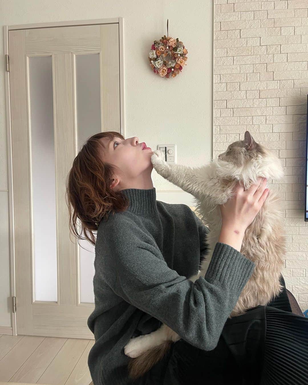 アシュリー千帆さんのインスタグラム写真 - (アシュリー千帆Instagram)「.  久々実家に連れて行って 5．5キロになったレオを見せてきました　笑  いっつも甘えん坊であしゅから離れないレオたんだけど、 実家に行くと他の猫と遊びたくてしょうがなくて私のことは放置。笑  夜も寝ないの、心配になる🥹  この写真撮ってる時も遊びたくて仕方ない顔してるね😂  しつこすぎて歳上猫2匹に嫌われてる。笑  いつか仲良くなれるといいね🐈💗  .」4月17日 19時30分 - ashli_ch