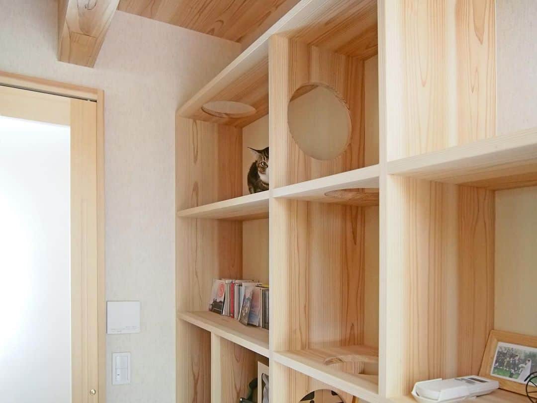シーエッチ建築工房 さんのインスタグラム写真 - (シーエッチ建築工房 Instagram)「* 2019年竣工「猫たちと暮らす木の家」 2022年竣工「猫たちと暮らす家」 こちらの２棟が【建築知識５月号】に 掲載されることになりました！ ⠀⠀⠀⠀⠀⠀⠀⠀⠀⠀⠀⠀ お引渡しからの ねこたちの暮らしの様子。 設計上の工夫などが図面と共に ご紹介される予定です。 ⠀⠀⠀⠀⠀⠀⠀⠀⠀⠀⠀⠀ かわいい仕草に、きゅん。 ⠀⠀⠀⠀⠀⠀⠀⠀⠀⠀⠀⠀ お施主様が家づくりのとき 猫たちと暮らす家を作るために 参考にされた本が、この「建築知識」。 ⠀⠀⠀⠀⠀⠀⠀⠀⠀⠀⠀⠀ 今度は掲載されることで 誰かの役に立つことがうれしいと 話していただけました。 わたしたちも、嬉しいです。⠀⠀⠀⠀⠀⠀⠀⠀⠀⠀⠀⠀ ⠀⠀⠀⠀⠀⠀⠀⠀⠀⠀⠀⠀ ──────────── 株式会社シーエッチ建築工房 兵庫県宝塚市仁川台76番地 0798-52-8863 https://www.ch-wood.co.jp ──────────── @ch_kenchiku @ch_namie.takarazuka @ch_watanabe ⠀⠀⠀⠀⠀⠀⠀⠀⠀⠀⠀⠀ ⠀⠀⠀⠀⠀⠀⠀⠀⠀⠀⠀⠀ #シーエッチ建築工房 #木の家 #家づくり #注文住宅 #新築 #リノベーション #住まい #暮らし #日々のこと #マイホーム ⠀⠀⠀⠀⠀⠀⠀⠀⠀⠀⠀⠀ #宝塚市 #西宮市 #三田市 #川西市 #伊丹市 #三木市 #豊中市 #高槻市 #吹田市 #神戸市 #工務店 #自然素材 #暮らしを楽しむ #猫  #家が好き #パッシブデザイン #丁寧な暮らし #猫のいる暮らし #ねこすたぐらむ #ねこのいる生活」4月17日 19時51分 - ch_kenchiku
