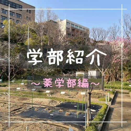 神戸学院大学のインスタグラム