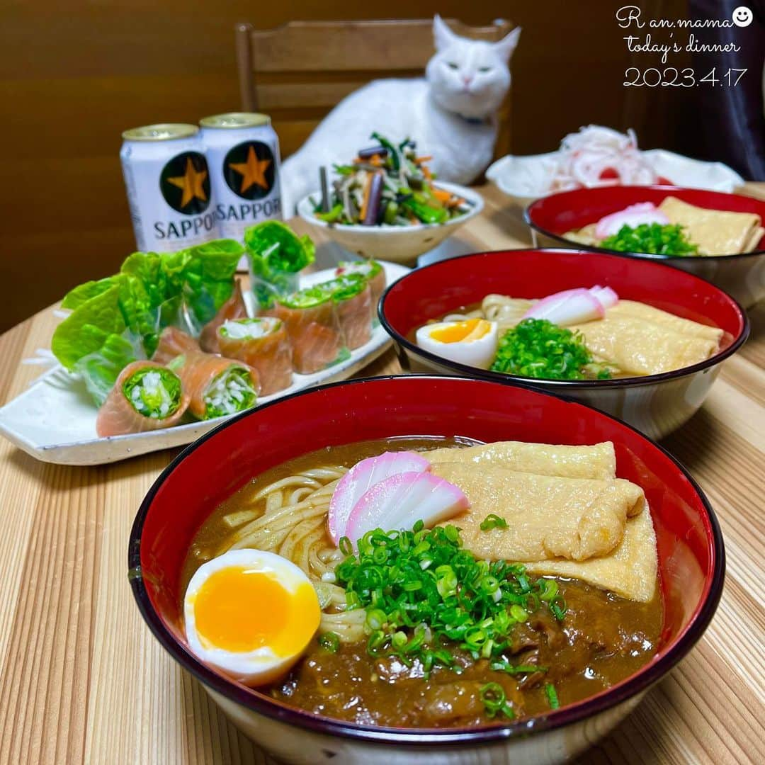 らんままのインスタグラム：「2023.4.17  今日のお夕飯⁣ ⁣ カレーうどん⁣ スモークサーモンと野菜の生春巻き⁣ トマトと新玉ねぎ、ツナ缶のサラダ⁣ わらびとえのき、ほうれん草、にんじんのおかかめんつゆ和え⁣ ⁣ ⁣ こんばんは　月曜日ですね⁣ 寒い日だったので昨日のカレーをリメイクしてうどんです⁣ ⁣ ⁣ ⁣ 今日の動画はおもちゃを落とすまいと必死な てんさん です⁣ ⁣ 　⁣ ⁣ ⁣  #晩酌#晩御飯#献立#ばんごはん#おうち居酒屋#働く主婦の食卓#くぅさんを探せ#丸テーブル⁣ ⁣ ⁣ ⁣ ⁣」