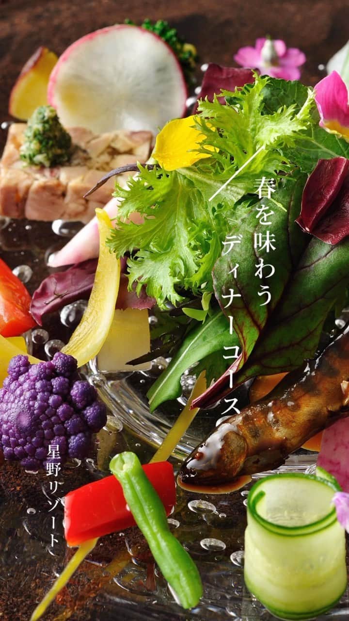 星野リゾートのインスタグラム：「【春を味わうディナーコース🌿】  山菜、春野菜、旬の魚など、季節の味覚を楽しめる春限定のコースをご用意しています。 食材の魅力を引き出す調理法や組み合わせなど、趣向を凝らした一皿をお楽しみ下さい🍽  #星野リゾート #HoshinoResorts #ディナーコース #奥入瀬渓流ホテル #星のや東京 #星のや沖縄 #リゾナーレ那須 #リゾナーレ八ヶ岳」