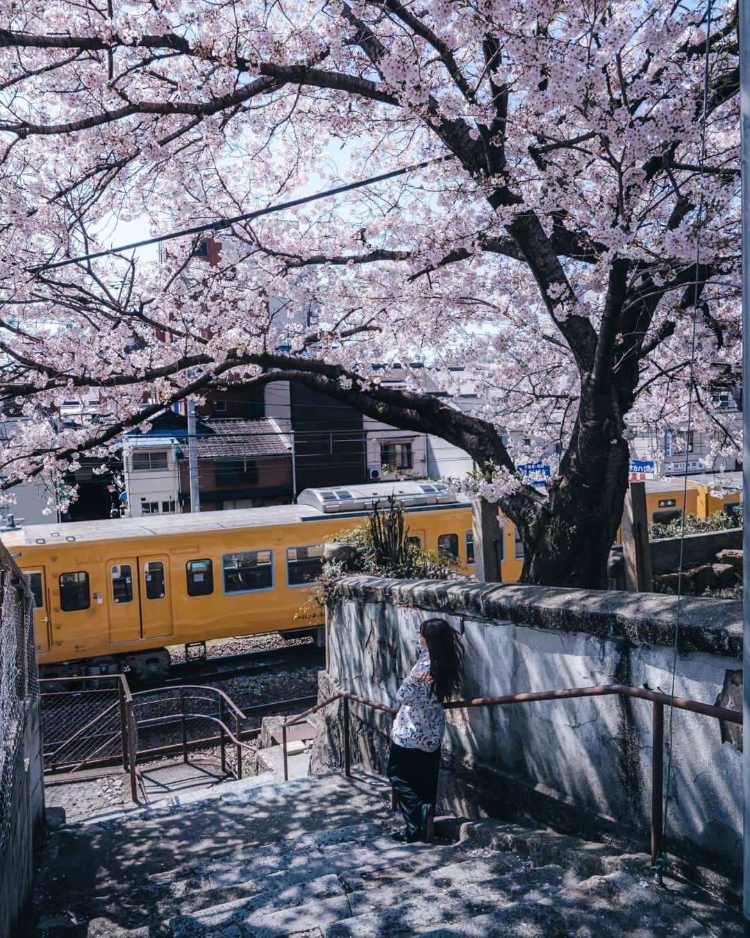 deepskyさんのインスタグラム写真 - (deepskyInstagram)「Sakura in Japan / 日本の桜 . . 1 Fuji Yoshida / Yamanashi  2 Gion / Kyoto 3 Mitoyo / Kagawa  4 Onomichi / Hiroshima  5 Shinjyo / Okayama  6 Nagoya / Aichi  7 Higashi Osaka / Osaka  8 Shinjyo / Okayama  9 Suma / Hyogo  10 Kyoto & Kagawa  . . #sonyalpha #Photography #beautifuldestinations  #landscapephoto #sakura #cherryblossom #japan #桜」4月17日 20時18分 - _deepsky