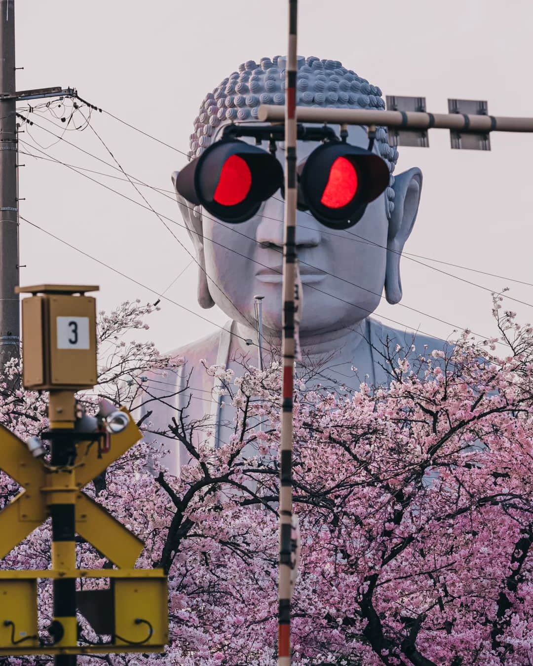 deepskyさんのインスタグラム写真 - (deepskyInstagram)「Sakura in Japan / 日本の桜 . . 1 Fuji Yoshida / Yamanashi  2 Gion / Kyoto 3 Mitoyo / Kagawa  4 Onomichi / Hiroshima  5 Shinjyo / Okayama  6 Nagoya / Aichi  7 Higashi Osaka / Osaka  8 Shinjyo / Okayama  9 Suma / Hyogo  10 Kyoto & Kagawa  . . #sonyalpha #Photography #beautifuldestinations  #landscapephoto #sakura #cherryblossom #japan #桜」4月17日 20時18分 - _deepsky