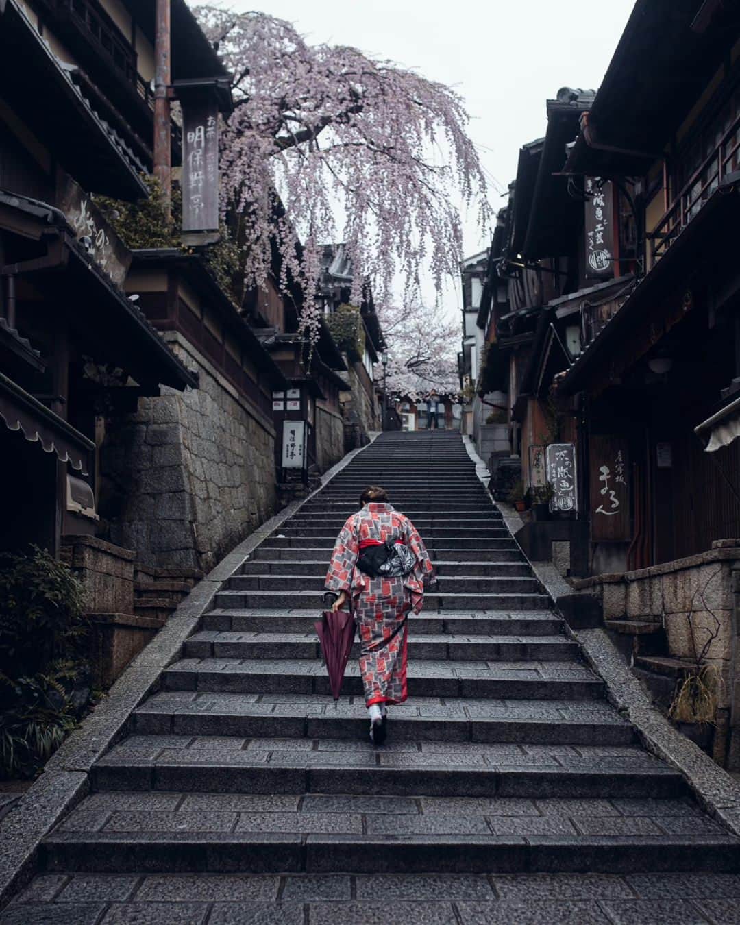 deepskyさんのインスタグラム写真 - (deepskyInstagram)「Sakura in Japan / 日本の桜 . . 1 Fuji Yoshida / Yamanashi  2 Gion / Kyoto 3 Mitoyo / Kagawa  4 Onomichi / Hiroshima  5 Shinjyo / Okayama  6 Nagoya / Aichi  7 Higashi Osaka / Osaka  8 Shinjyo / Okayama  9 Suma / Hyogo  10 Kyoto & Kagawa  . . #sonyalpha #Photography #beautifuldestinations  #landscapephoto #sakura #cherryblossom #japan #桜」4月17日 20時18分 - _deepsky