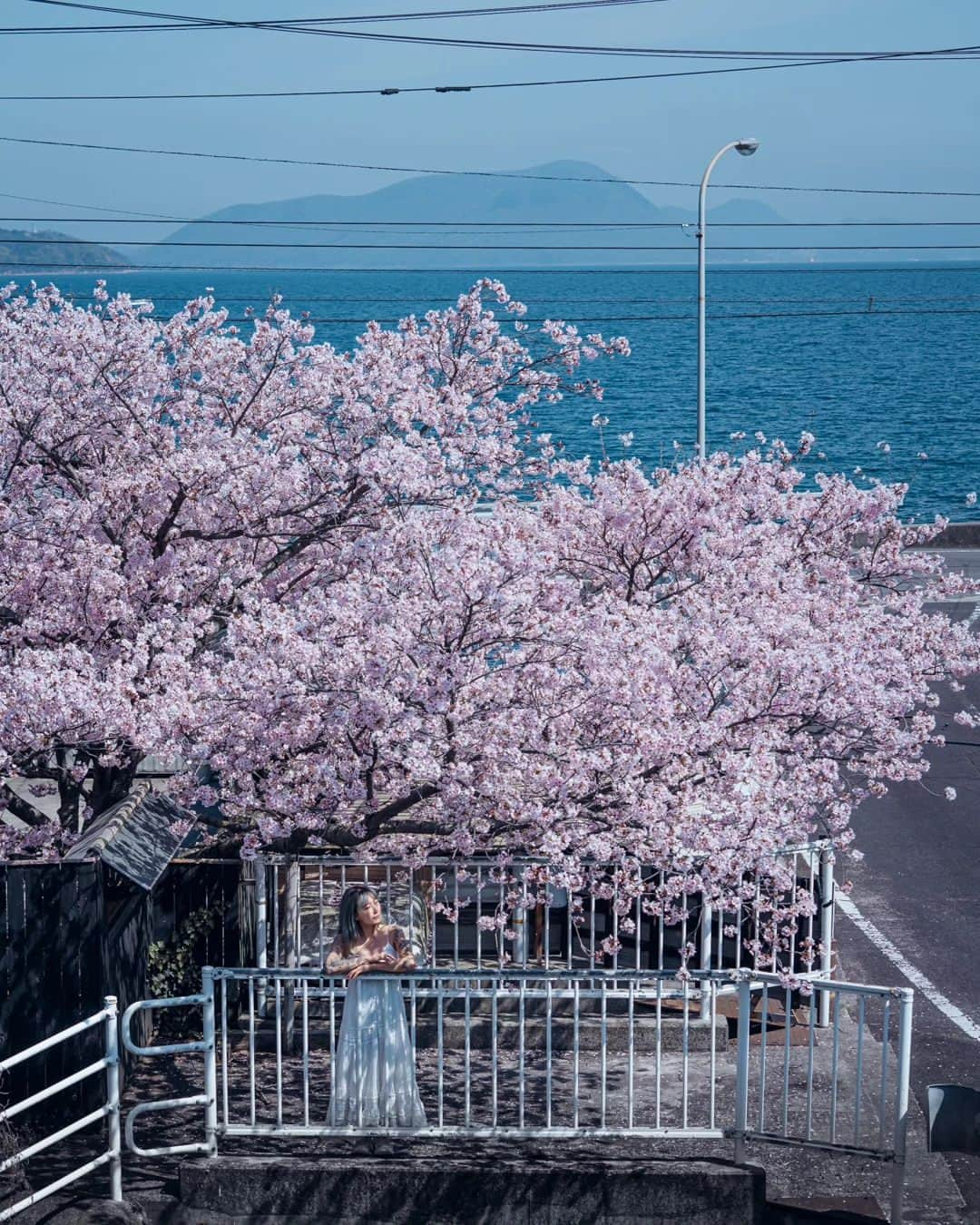 deepskyさんのインスタグラム写真 - (deepskyInstagram)「Sakura in Japan / 日本の桜 . . 1 Fuji Yoshida / Yamanashi  2 Gion / Kyoto 3 Mitoyo / Kagawa  4 Onomichi / Hiroshima  5 Shinjyo / Okayama  6 Nagoya / Aichi  7 Higashi Osaka / Osaka  8 Shinjyo / Okayama  9 Suma / Hyogo  10 Kyoto & Kagawa  . . #sonyalpha #Photography #beautifuldestinations  #landscapephoto #sakura #cherryblossom #japan #桜」4月17日 20時18分 - _deepsky