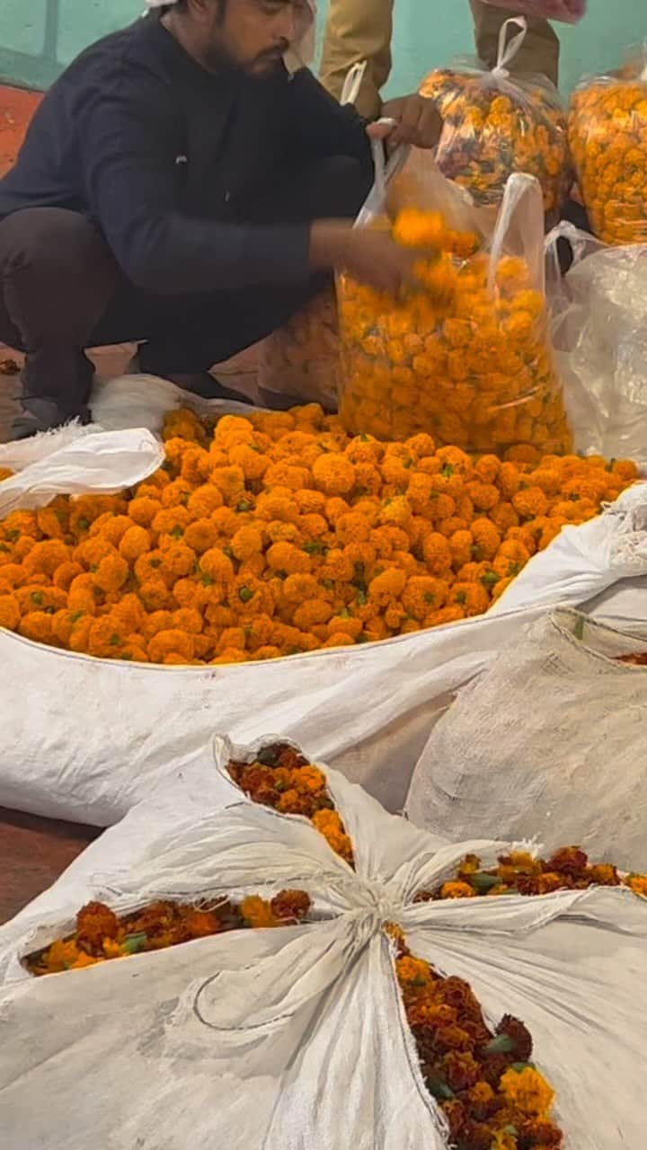 チャンルーのインスタグラム：「Back in India, jet-lagged and wandering the flower market 🌸」
