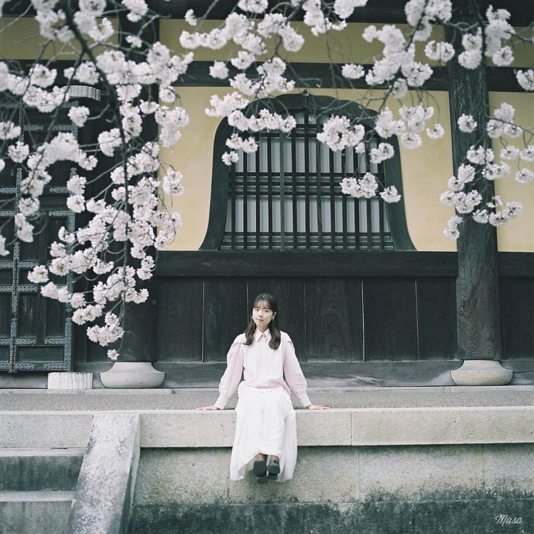 Masaさんのインスタグラム写真 - (MasaInstagram)「.  ▶︎▶︎▶︎ Swipe  All：HASSELBLAD Carl Zeiss CF Planar 80mm F2.8 T* #pro400h  和🌸  撮影日 : 2023年3月25日  #まっセル #エビプリ #hasselblad #ハッセルブラッド #中判フィルム #film #filmcamera #filmphotography #analogphotography #analogphoto #フィルム #フィルムカメラ #フィルム写真 #igersjp #portrait #ポートレート  #桜 #ソメイヨシノ #南禅寺」4月18日 19時30分 - masa_nikonist