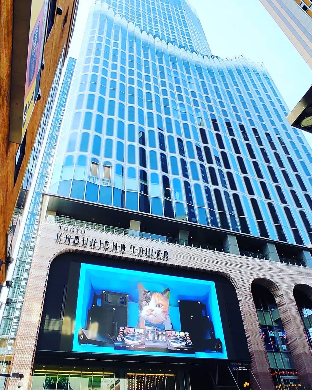 のインスタグラム：「#歌舞伎町タワー  #kabukichotower」
