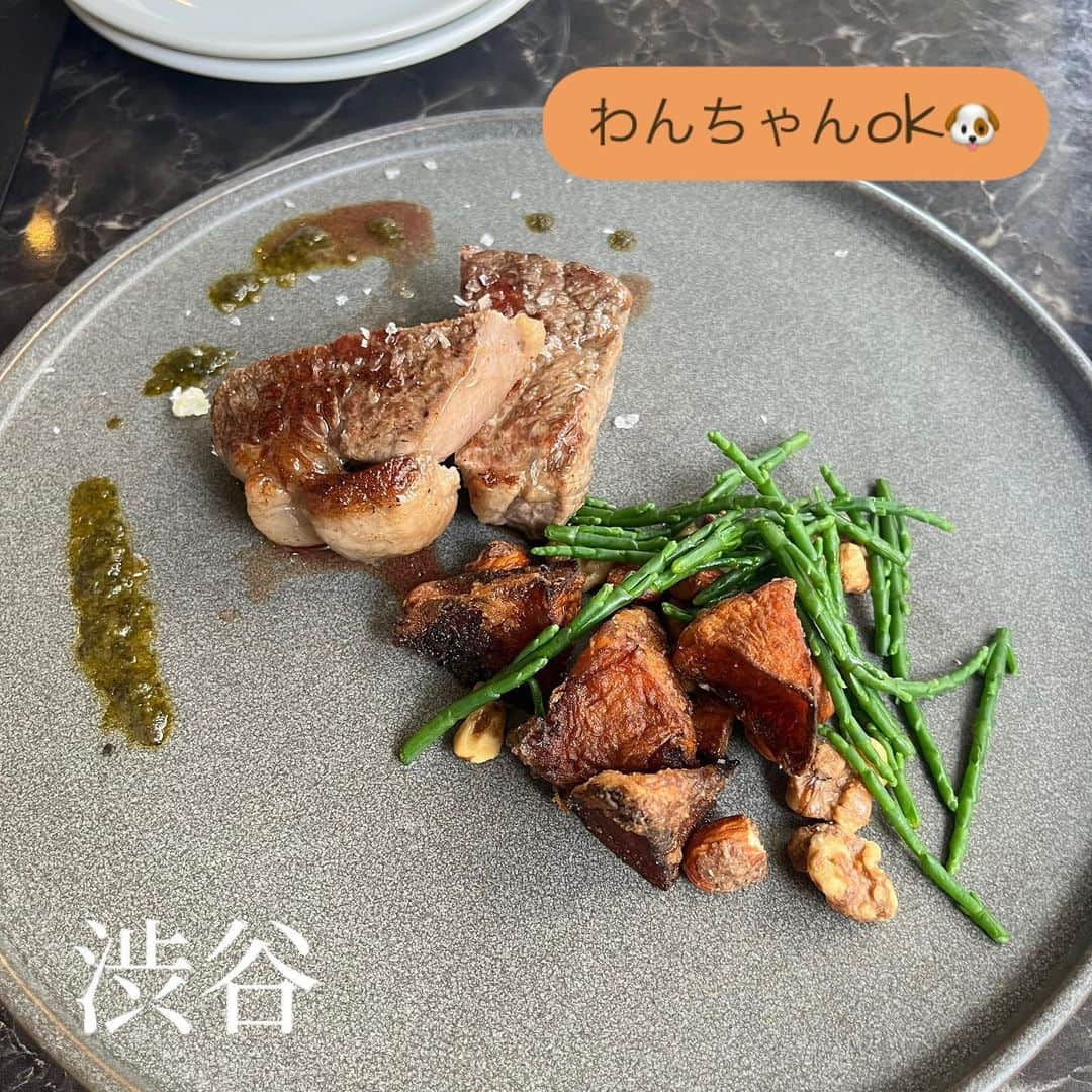 あろえグルメさんのインスタグラム写真 - (あろえグルメInstagram)「🌱ロイヤルガーデンカフェ 📍渋谷から徒歩10分 🐶わんちゃんテラス席ok  わんちゃんテラス席🆗の渋谷パルコらへんにあるお店！！ 店内も広そうだったし、テラス席もたくさんあって、わんちゃん連れの人もたくさん利用していた🏏🏏 雰囲気おしゃれで、テラス席なのにソファ席でゆったりできて最高だった🤍 10分くらいであるいたらもう代々木公園だし、散歩しながらまた行きたいです‼︎🌻  #東京グルメ#東京ディナー#東京観光#東京カフェ#instagood#fff#lfl#インスタ映え #東京カフェ巡り#グルメスタグラム#食べログ #グルメ好きな人と繋がりたい#フォロー返し#東京カフェランチ#渋谷グルメ#渋谷ディナー#渋谷カフェ#渋谷レストラン#代々木公園#代々木公園カフェ#代々木上原カフェ#渋谷ランチ#代々木公園ランチ#犬ok#犬okカフェ#ペット可#ペット可カフェ#わんちゃんok#おしゃれカフェ東京#おしゃれレストラン」4月17日 20時36分 - oishiisukisuki