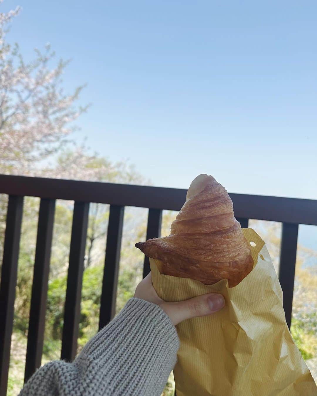 福井千佳さんのインスタグラム写真 - (福井千佳Instagram)「. . . とある、おやすみの日。 . . . キンをがっしり掴んで離さないアネ。 #アネとキン . . . 少し葉っぱが出てきた桜と海を見ながら、 @ako__pan のパンを頬張るのでした。 . . ｻﾁ。幸。 . #あこうぱん#赤穂カフェ#赤穂#赤穂御崎公園#ピクニック日和#dayoff#休日の過ごし方」4月17日 20時47分 - chika291