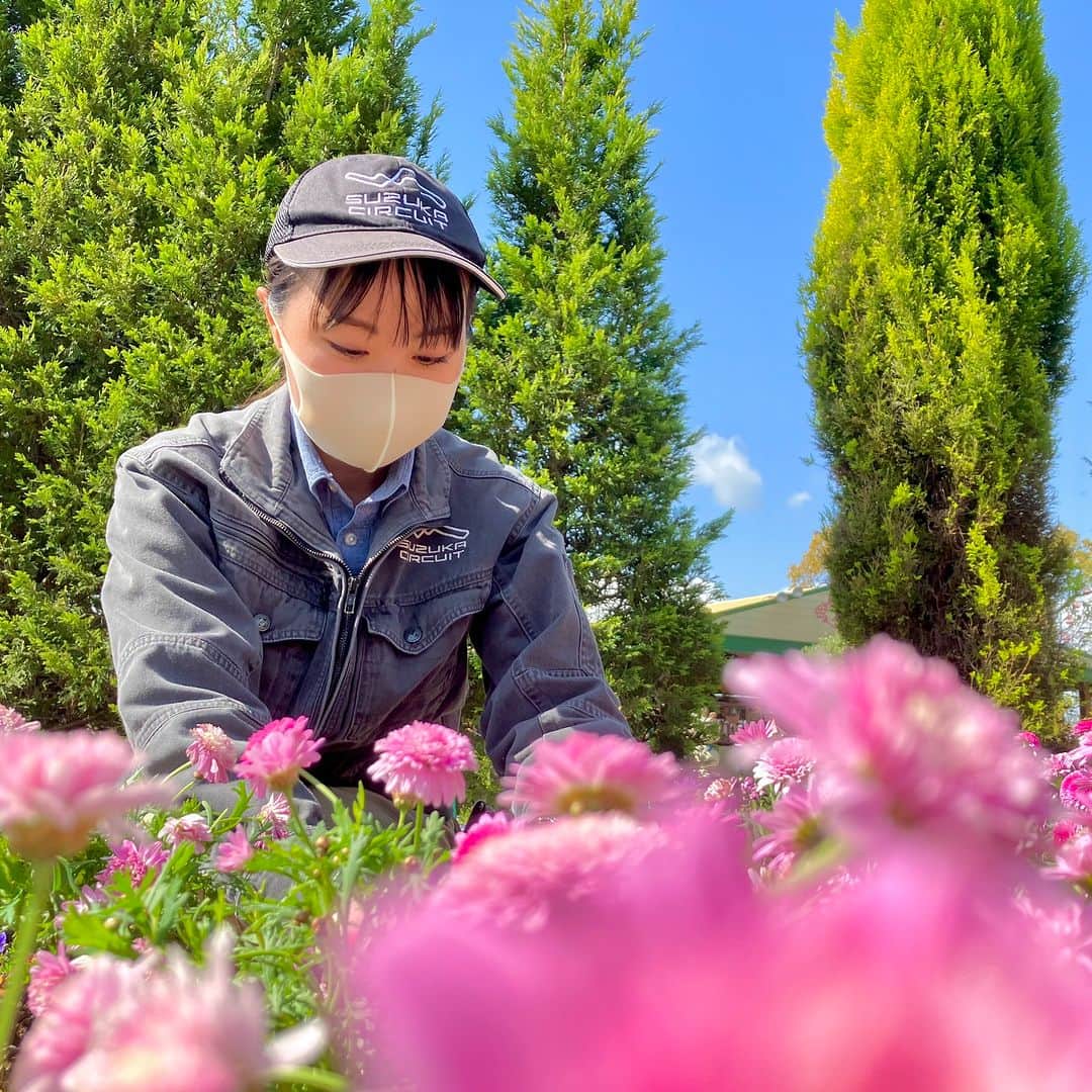鈴鹿サーキット【公式】さんのインスタグラム写真 - (鈴鹿サーキット【公式】Instagram)「今日はチララのフラワーワゴンのお花の植え替えの様子をお届け🌼  今日新しく植えられたのは「マーガレット モリンバ」 小さな花びらがたくさんついていてとっても可愛いお花です♪  こちらのお花は６月ごろまでお楽しみいただけます。 鈴鹿サーキットパークにご来場の際は、チララのフラワーワゴンに足を運んでみてくださいね！  #鈴鹿サーキットパーク #三重県 #鈴鹿市 #家族でおでかけ #子供とお出かけ #赤ちゃんとお出かけ #テーマパーク　 #遊園地 #子連れ旅行 #花 #マーガレット #フラワー」4月17日 21時00分 - suzukacircuit_official
