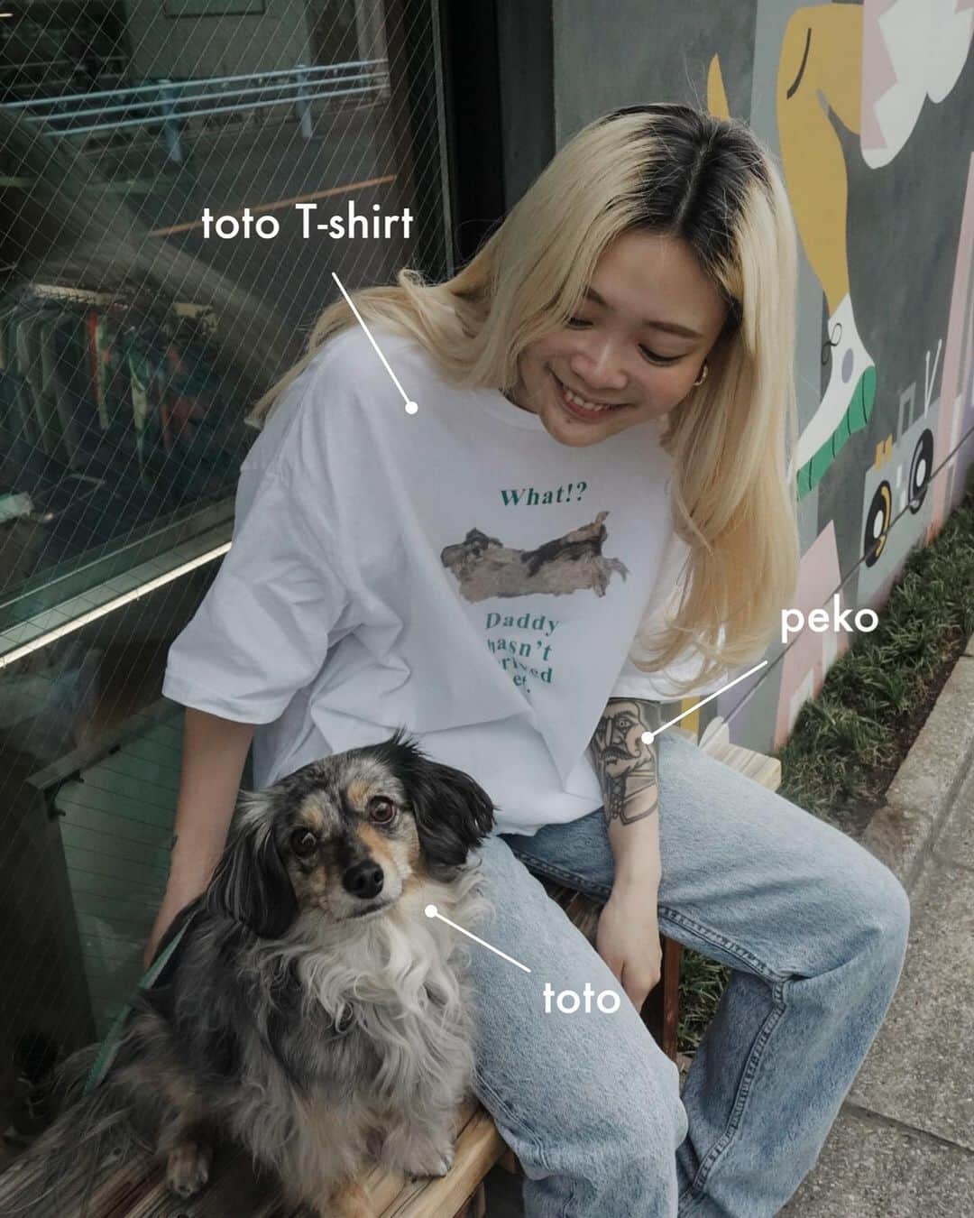 長坂 睦生のインスタグラム：「トトTシャツ作りました！！ ただの愛犬Tではなく、普段使いできるような 可愛いTシャツを作りたくて自分でデザインしました！ トトは少しイラスト調になってます！ ⁡ 表は「パパがまだ帰ってこない」 裏は永遠にワン！ワン！と書いてます！(そーゆう本があって可愛いかったので真似しました) ⁡ 普通に自分用で作ったんですが、 ありがたいことに欲しいと言ってくれる方が多かったので今週くらいで数まとめて発注しようと思ってます！ 興味ある方いたらDMくださいー！ トト知らなくてもファッションとして 普通に可愛く着れます！ そーゆうの作りたくて作りました！ ⁡ 一応サイズは最後のページに写真で入れてますが作り大きめです！モデル着用はXLですがでかいです！！ 女性Sサイズ、男性もLでオーバーめに着れるかと！ ⁡ ボディーはUS Cotton使用の6.0ozで懐かしのアメアパタグ付きです！  ⁡ 是非お揃いしましょう！ 今回作ってみてかなり楽しかったので、今後またプロダクト作りたいなと思いました！  ぺこモデルありがとう🙌🏻」