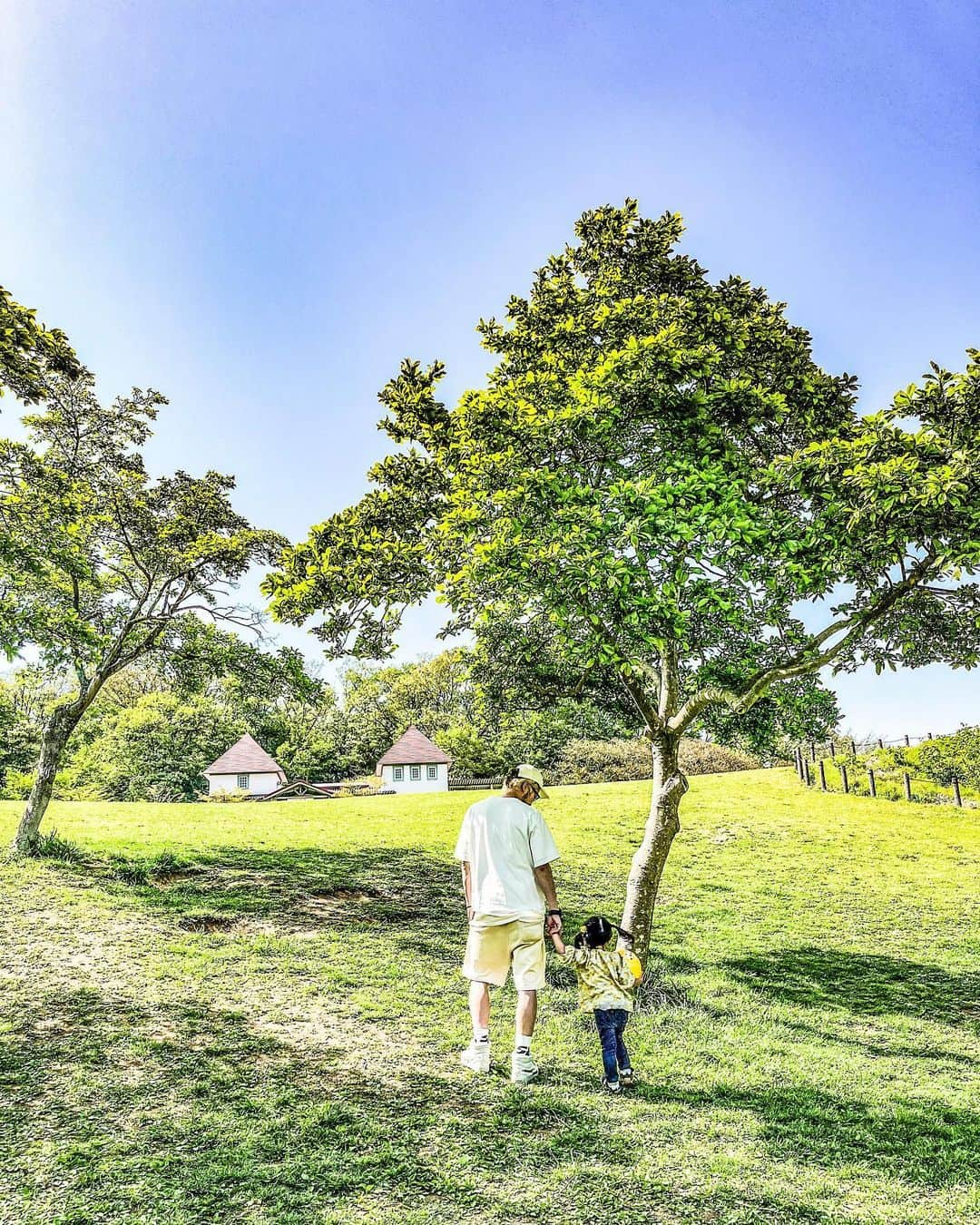 遠山雄也さんのインスタグラム写真 - (遠山雄也Instagram)「. おはよう🥸 今日はサロン定休日💤 　 　 今日は一緒に幼稚園👟 　 🌳🌲🌳🌲🌳 　 　  　 　 #生後1034日 #女の子ベビー #パパと娘  #育児記録 #子供のいる暮らし #生後34ヶ月 #2歳10ヶ月」4月18日 7時28分 - yuyatoyama