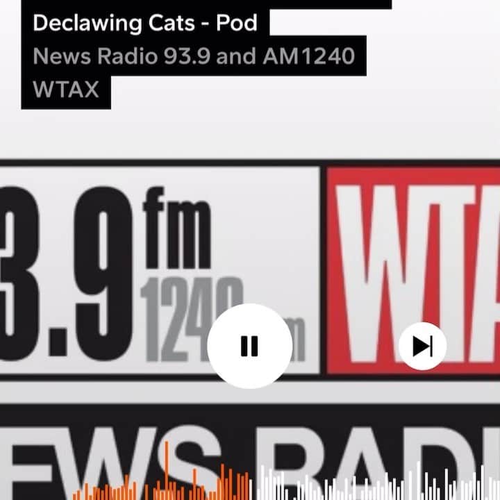 City the Kittyのインスタグラム：「The Illinois anti-declawing bill is on life support because of the @illinois_vma and their President Dr Joanne Carlson of @lovingcareanimalhospital campaign of lies and misinformation.  One of the most egregious lies Dr. Carlson is telling the media and the public is that cats who are declawed do not experience any long-term difficulties. 😾😾😾😾😾 you can go to our link here on our Instagram bio and read all about this. Dr Carlson is also using the @aspca ‘s declawing position to help stop this bill.  yep, the Aspca is actually helping  declawing vets perform and profit from this barbaric animal cruelty.  The legislation in Wyoming, and in Arizona was successfully stopped by using the Aspca’s  declawing position. 😾😾😾😾😾😾😾😾 folks we need your help. Please reach out to the Aspca and ask them why they really don’t want declawing banned and why are they on the side of declawing vets and not innocent cats. 😾🤬 #wtf #chicagoillinois」