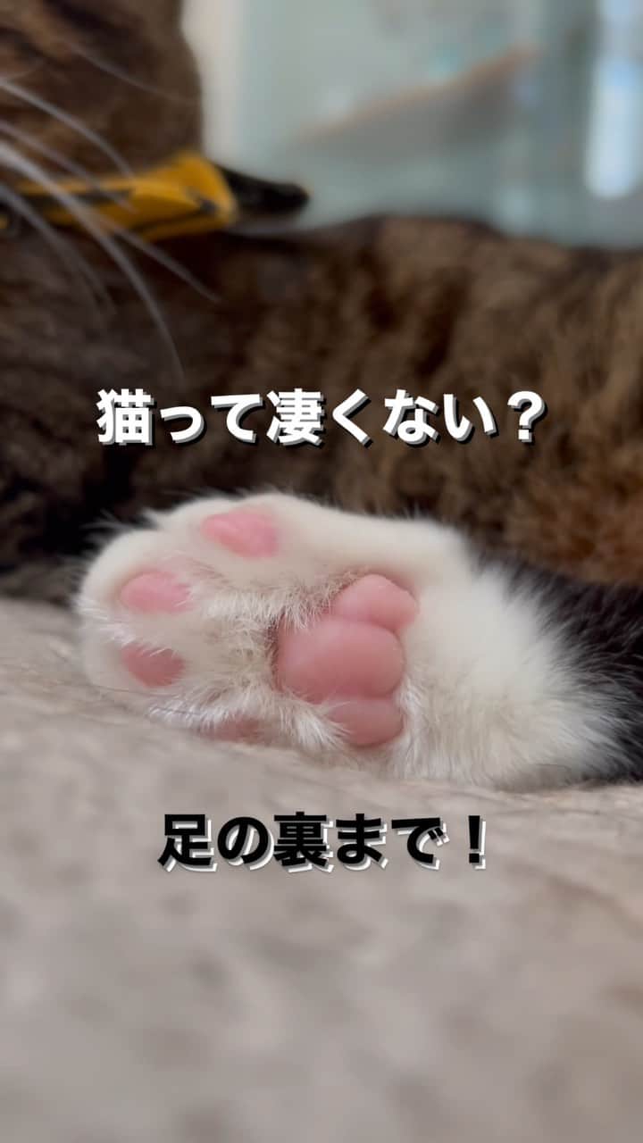 Nahoのインスタグラム